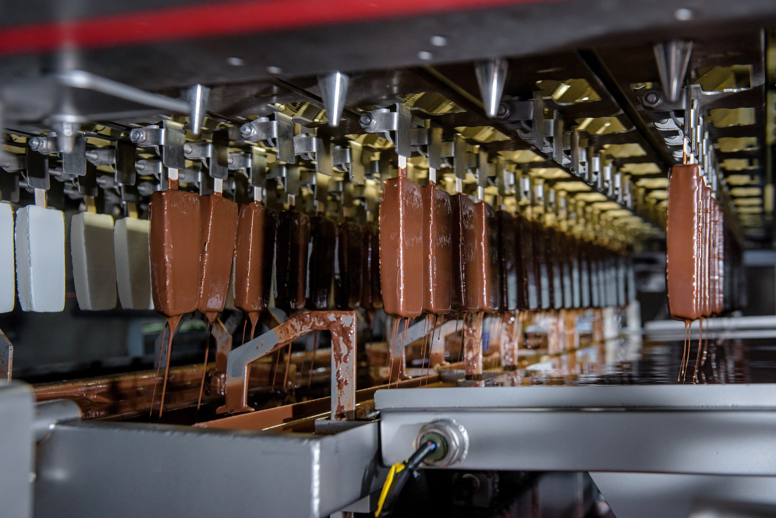 Презентации. Открытия. Елена Северина фотограф, Алматы: репортаж (спорт, концерты, конференции), предметная и фуд-съёмка, портреты, каталоги, фэшн, ретушь