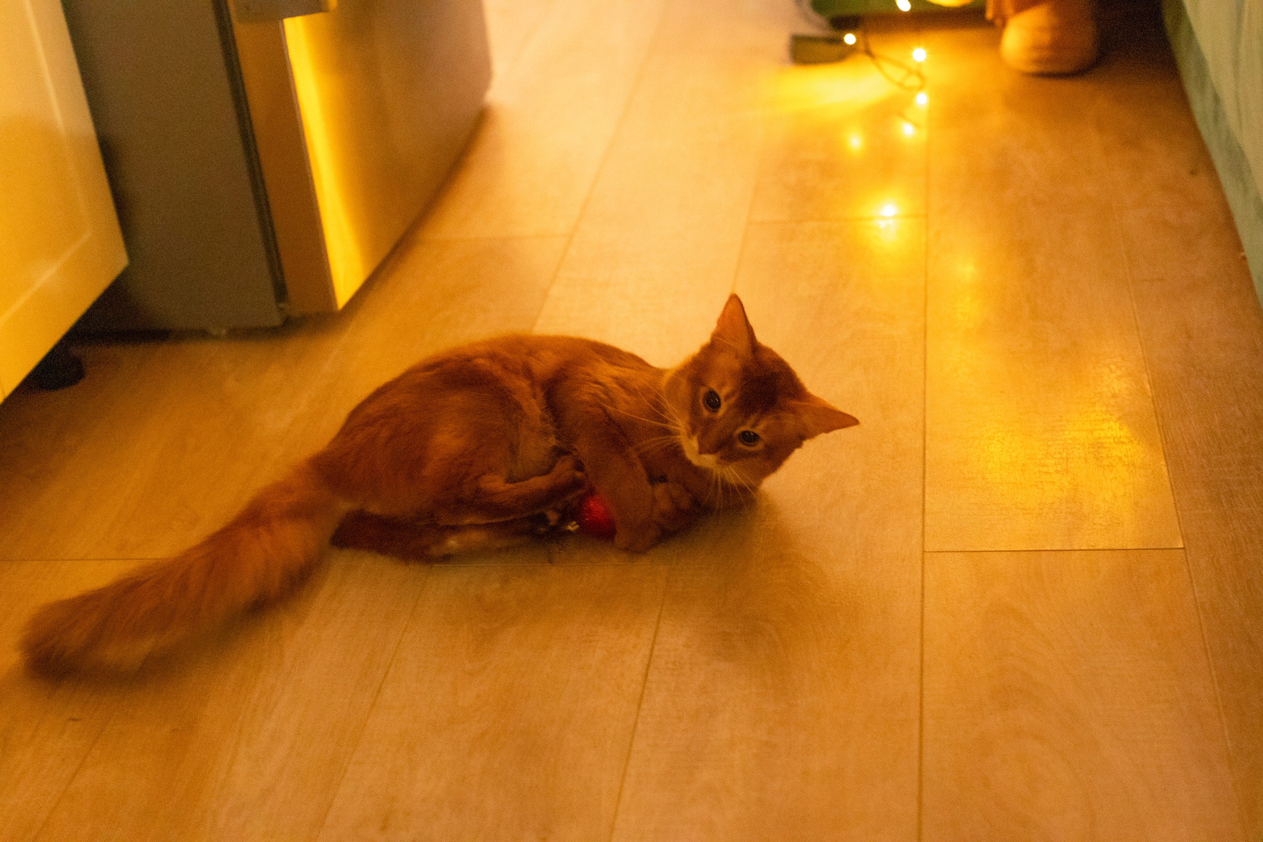 Сомали. Art my Pho