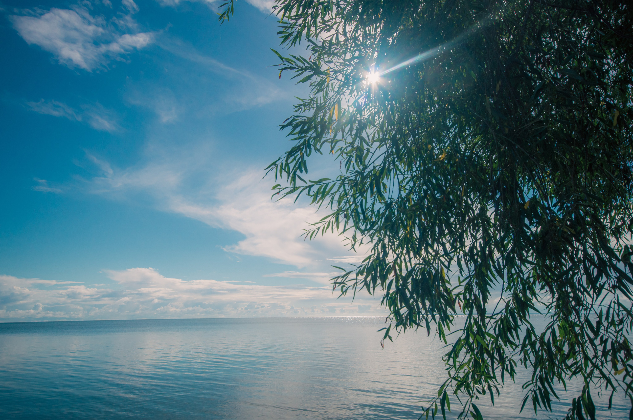 Калининград. Фотограф Шибков Константин