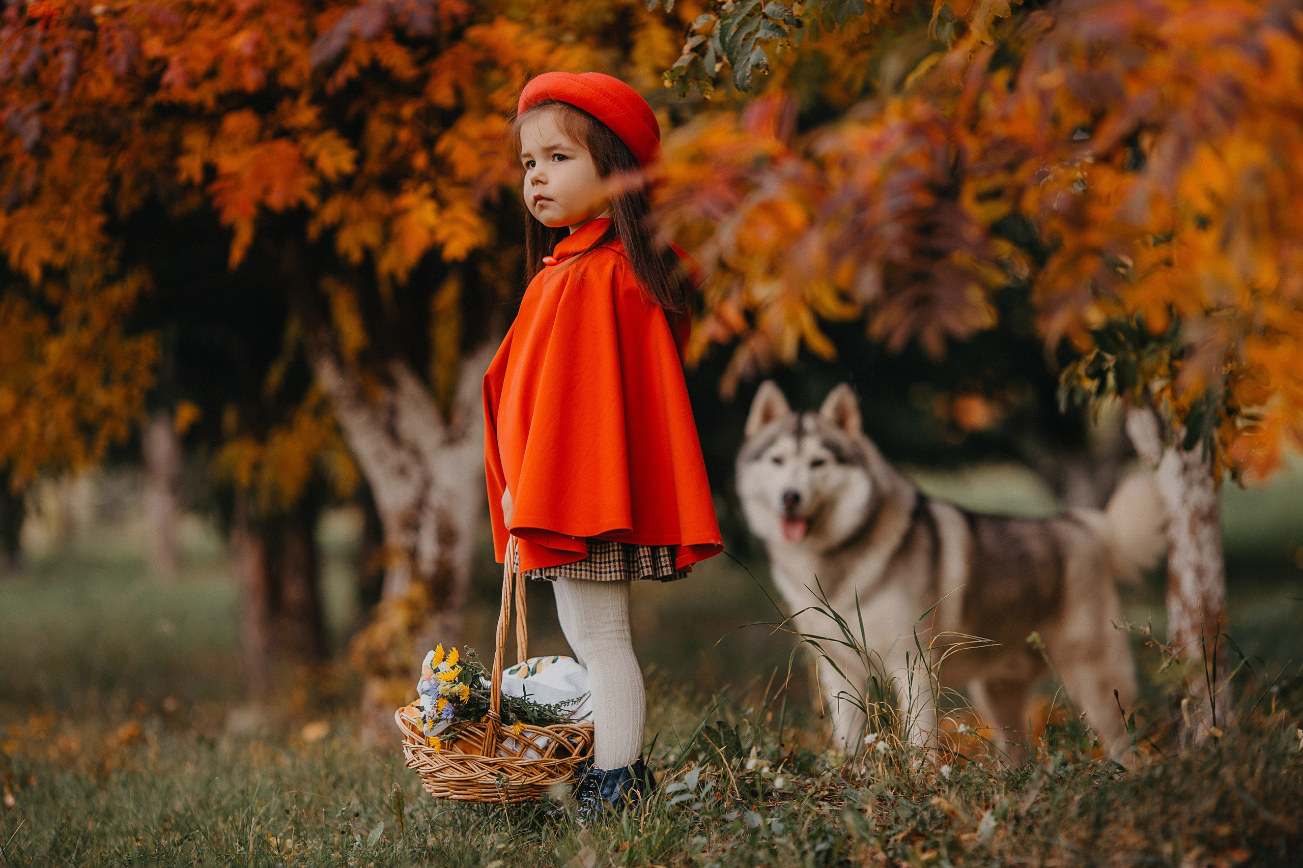 Красная шапочка. Свадебный, семейный и детский фотограф Набережные Челны