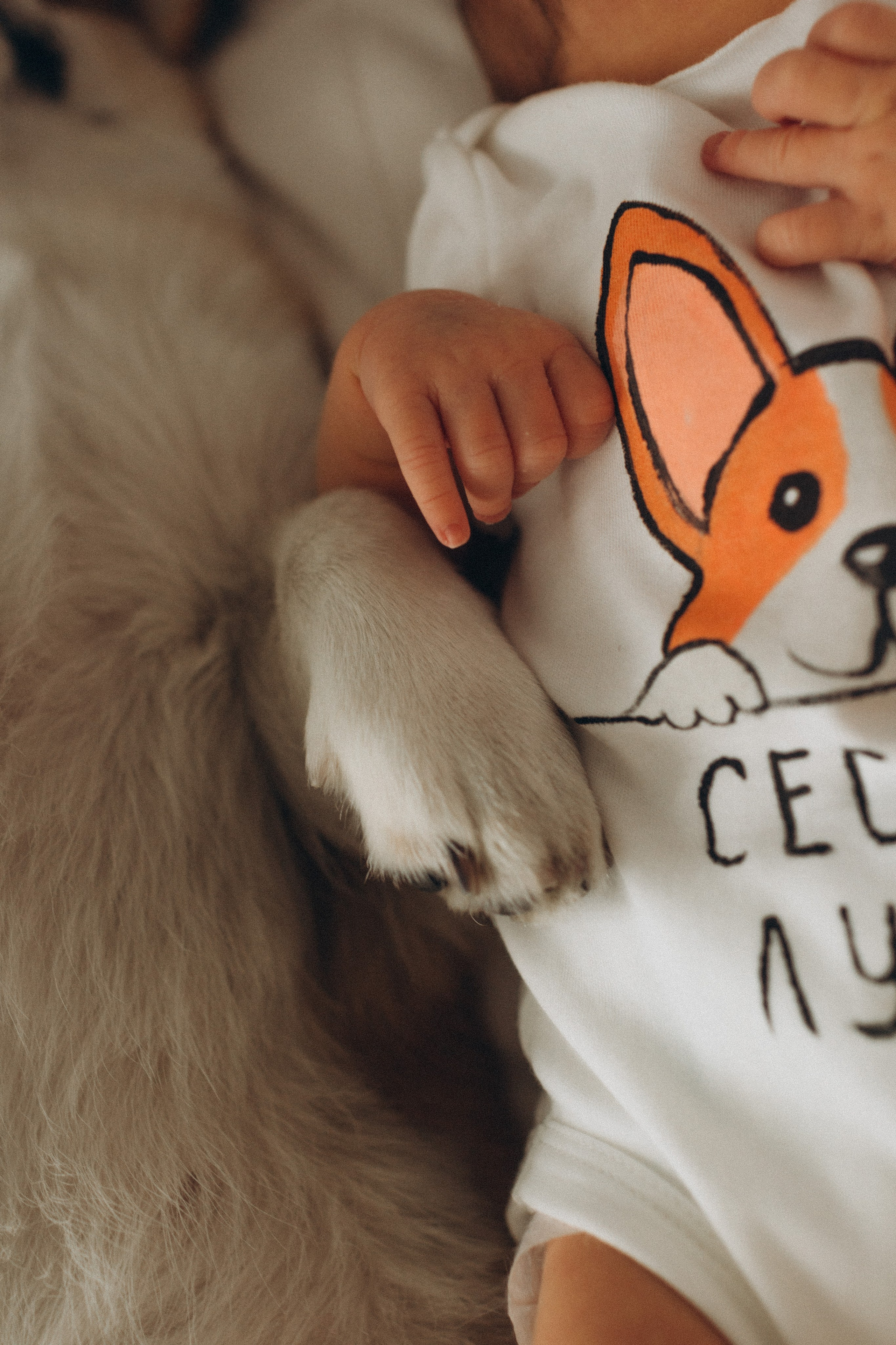 Про Оливию и Лунну. -