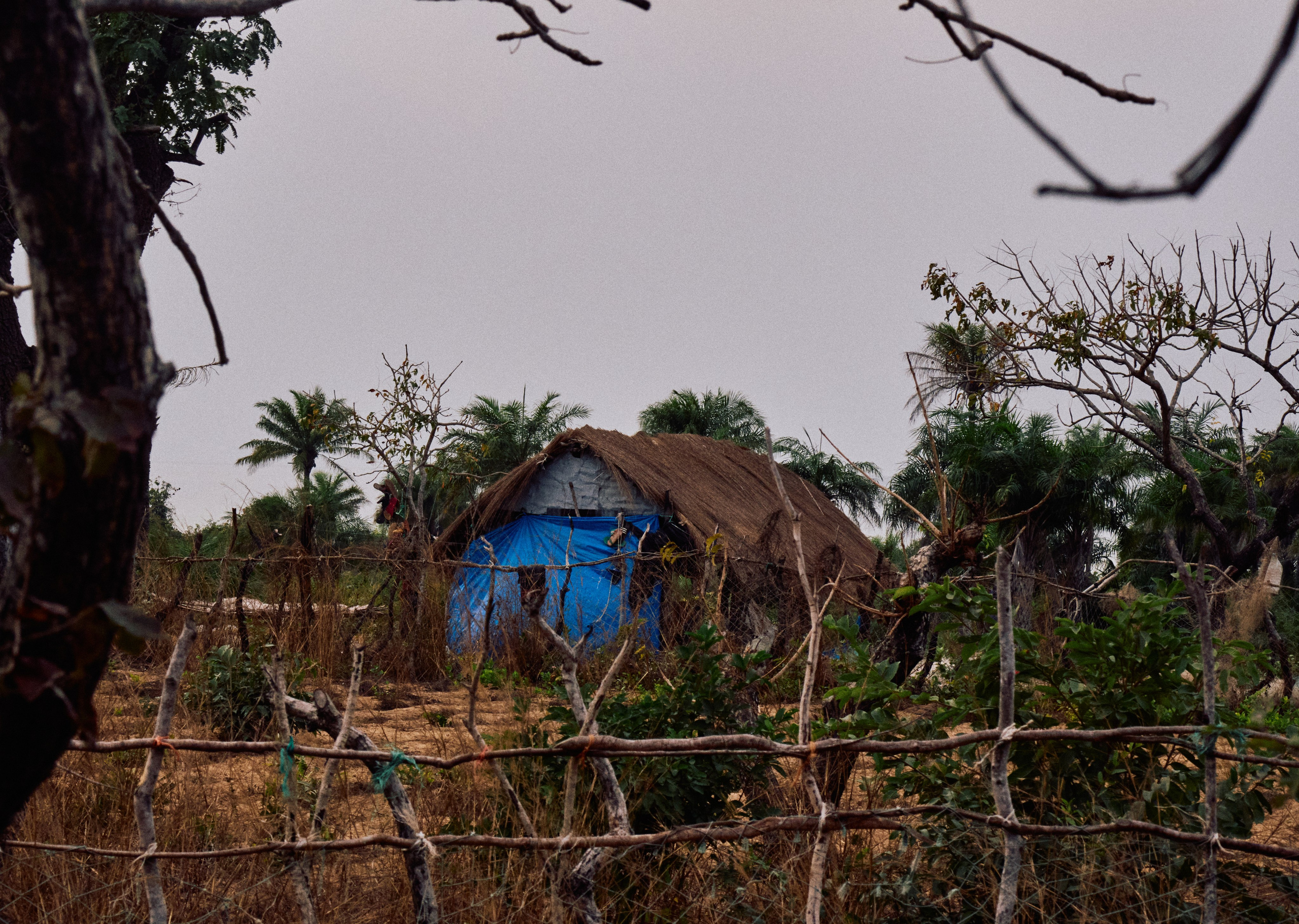 Archipelago Bissagos. See the moment and catche. commercial and reportage