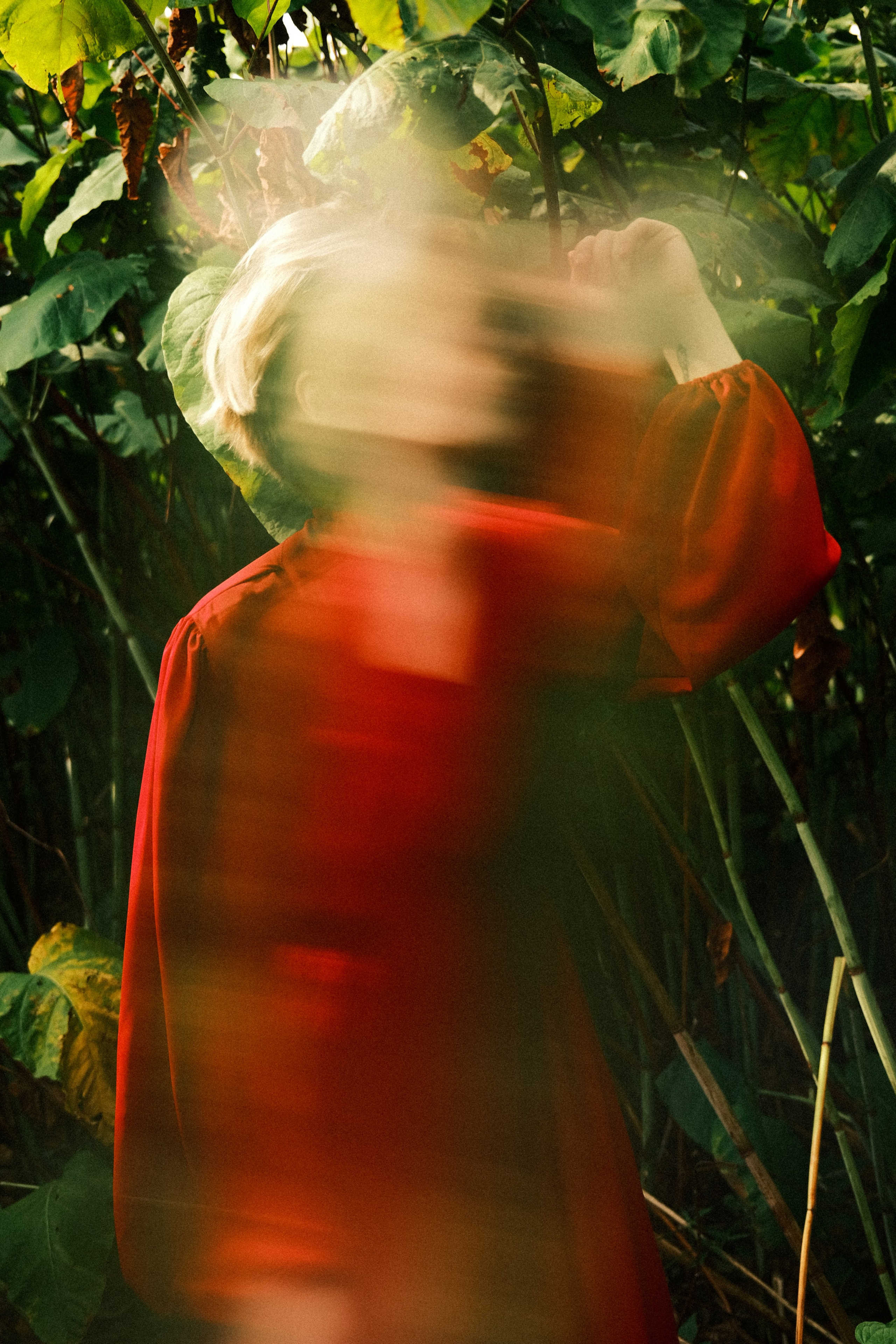 Ана 2. Портретный фотограф