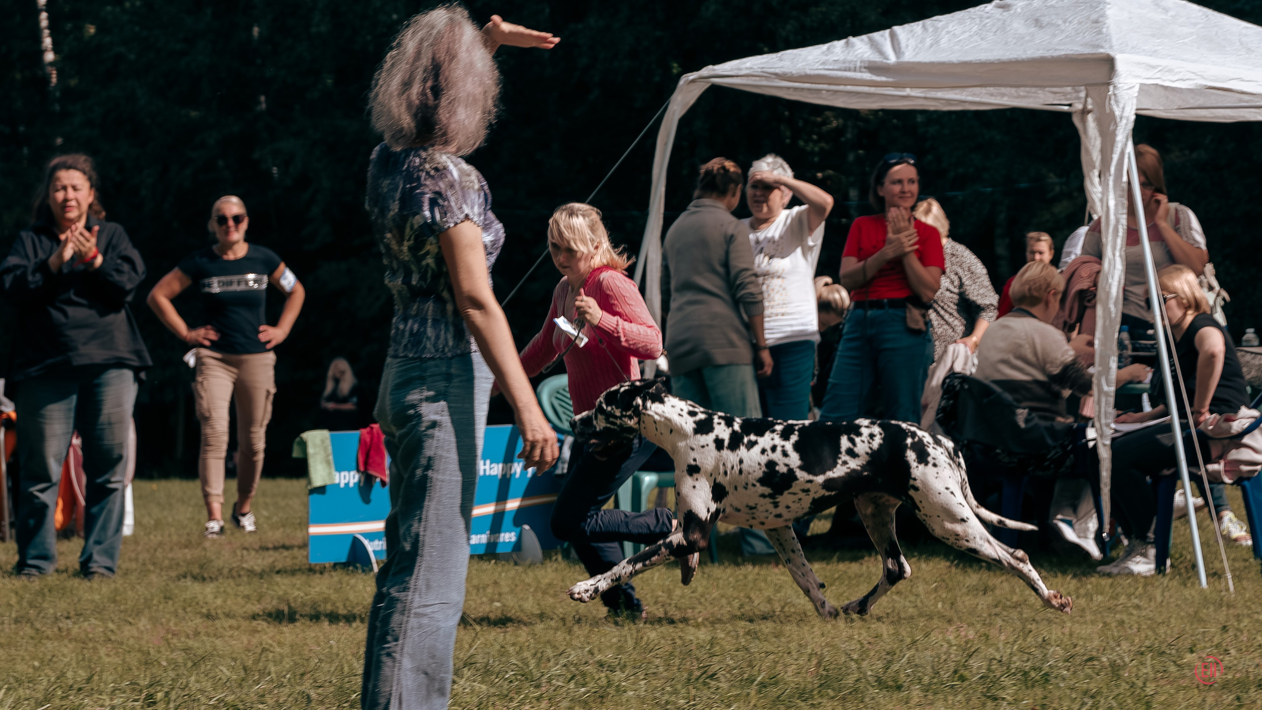 Друг человека. Фотограф в Москве