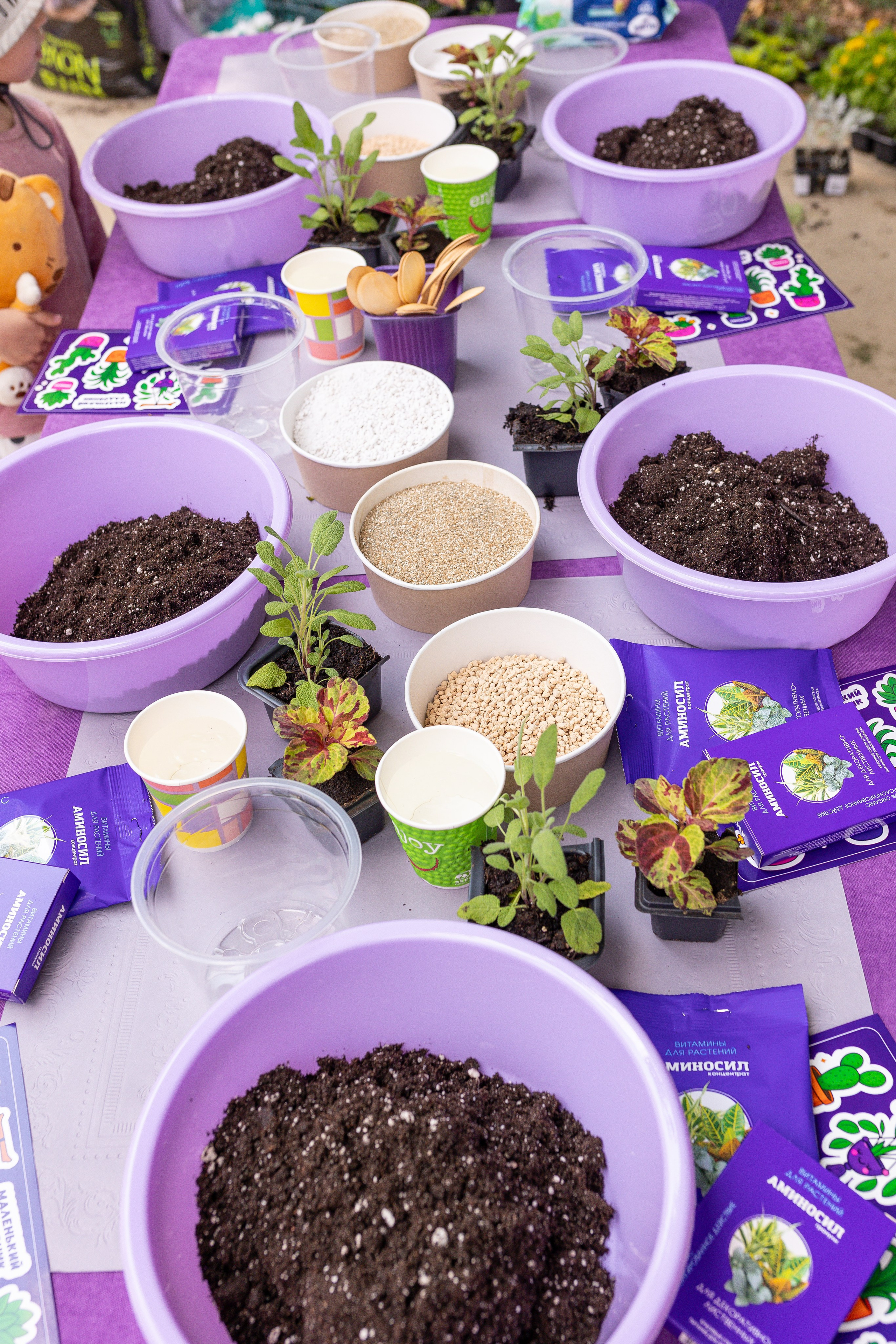 Мастер-класс от Аминосил. Александра Куликова фотограф, Москва