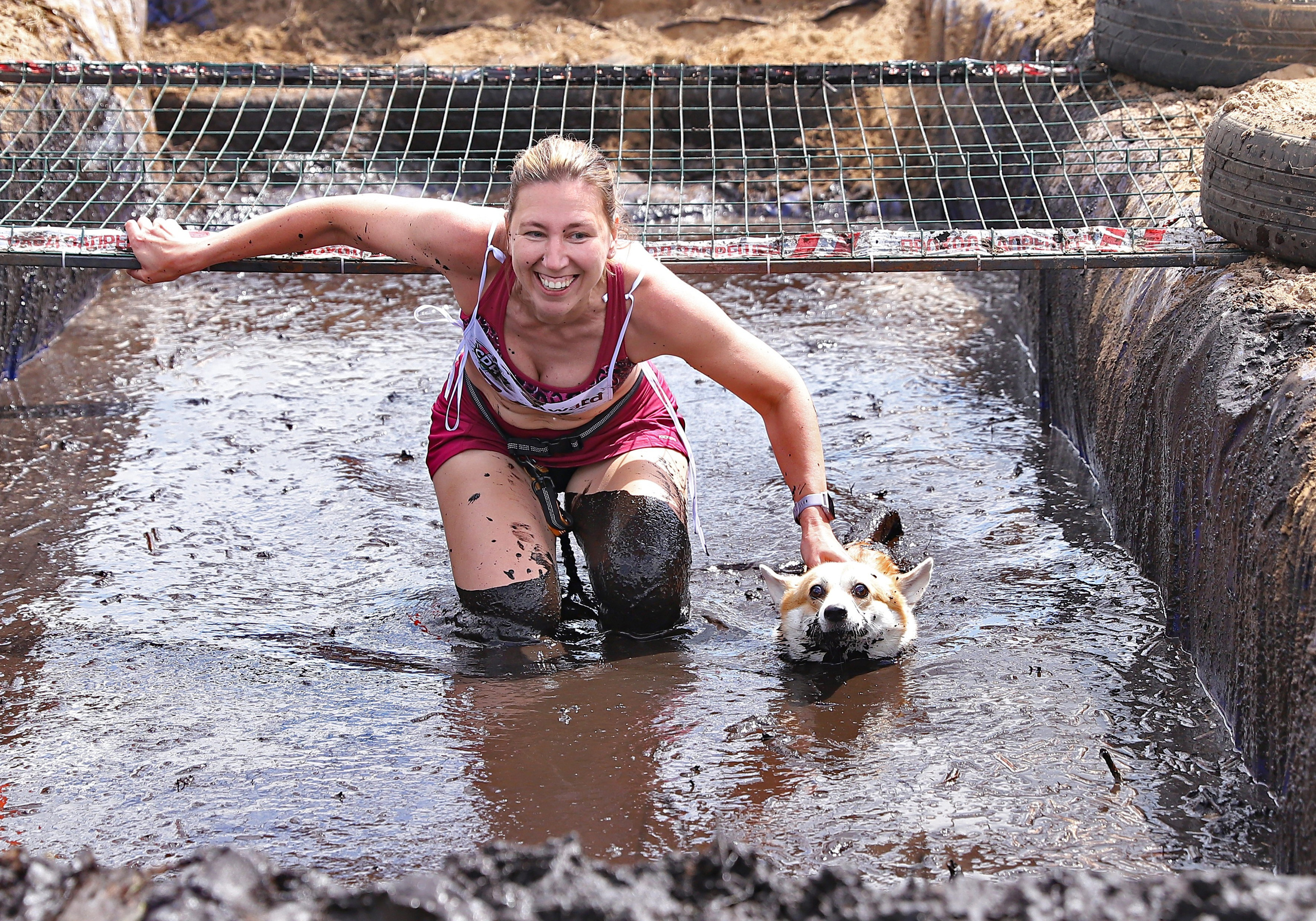 Хвостатый драйв. Семейный и детский фотограф в Москве и МО Елена Москвичева