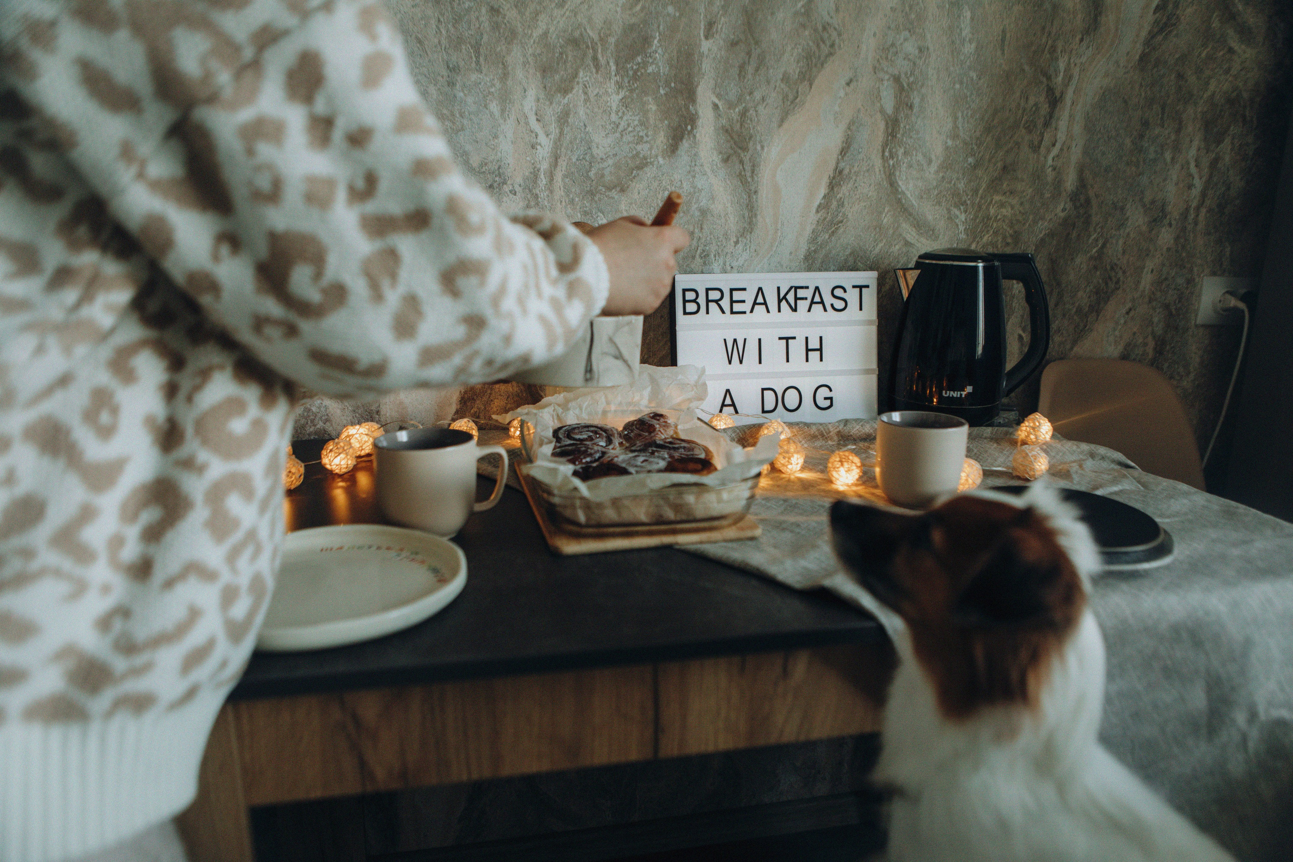 Break fast with a dog. Свадебный и семейный фотограф Арестенко Анастасия