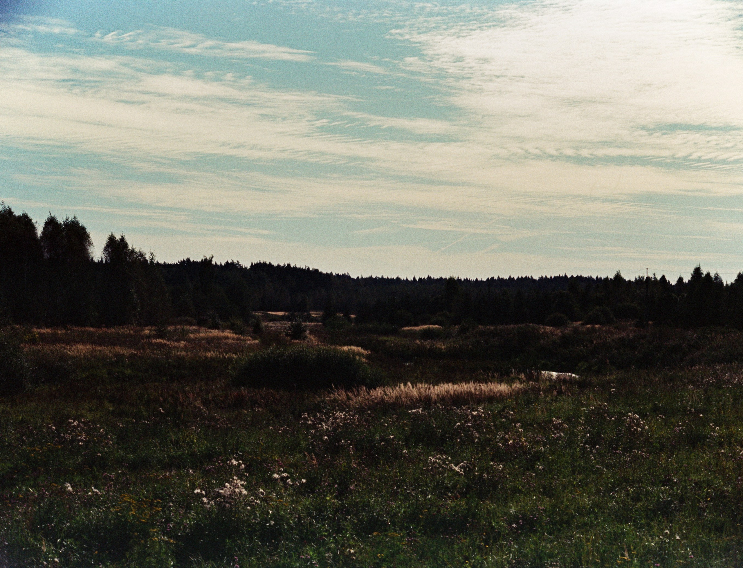 Nikon F100 примеры фотографий