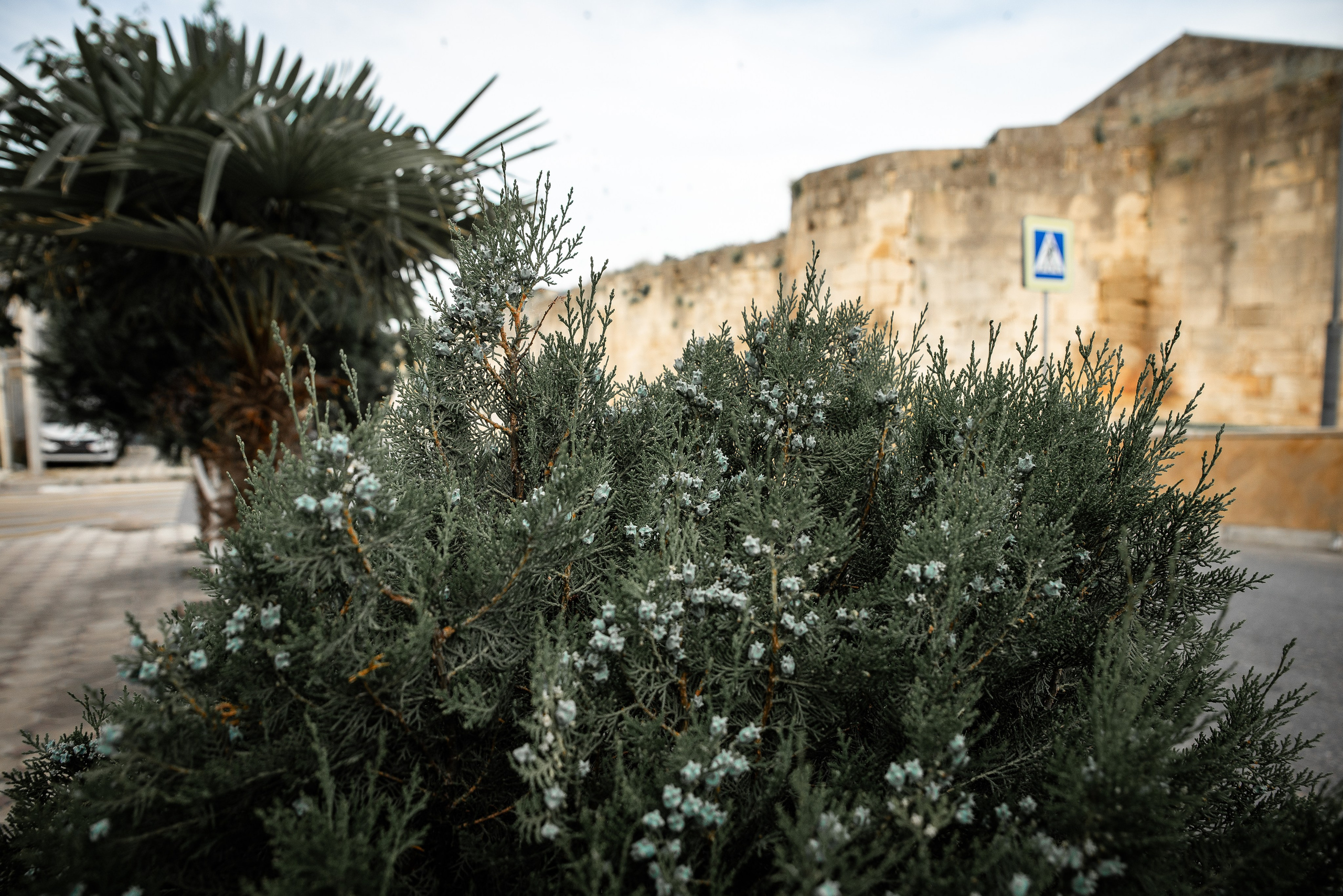 Дагестан. Фотограф Крещение Венчание Москва