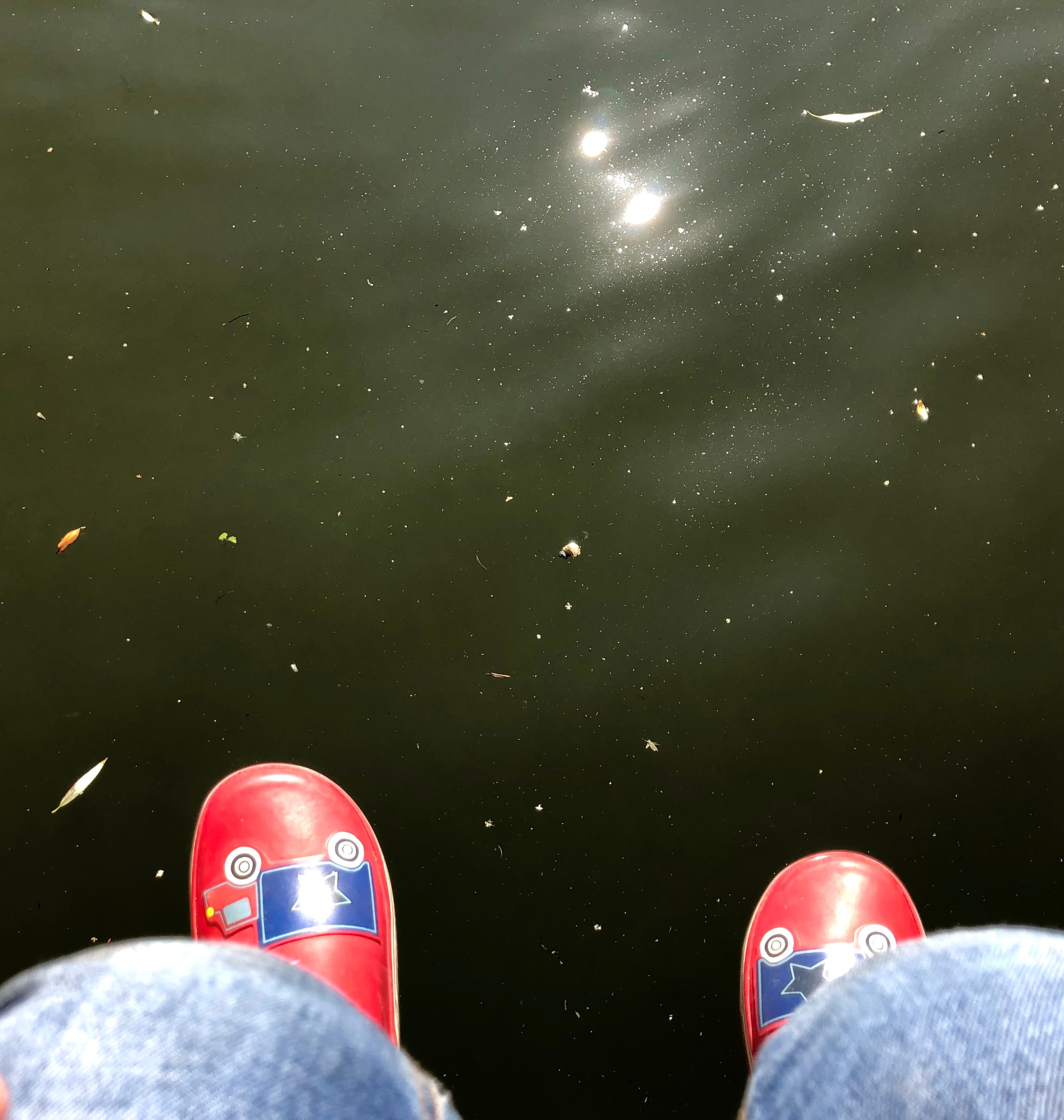 Семейная съёмка. Ира Зимина — портретный фотограф и художник в Калиниграде и Москве