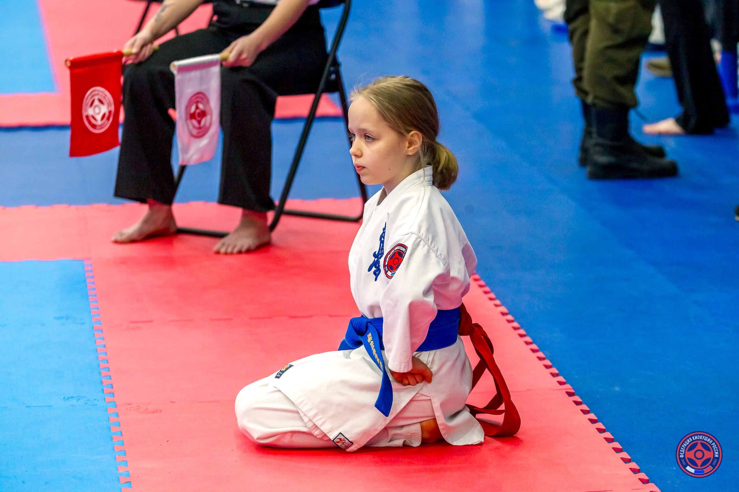 Международный турнир по киокушин «Открытый кубок Seiken». Репортажная съемка в Москве и области. Анималистика