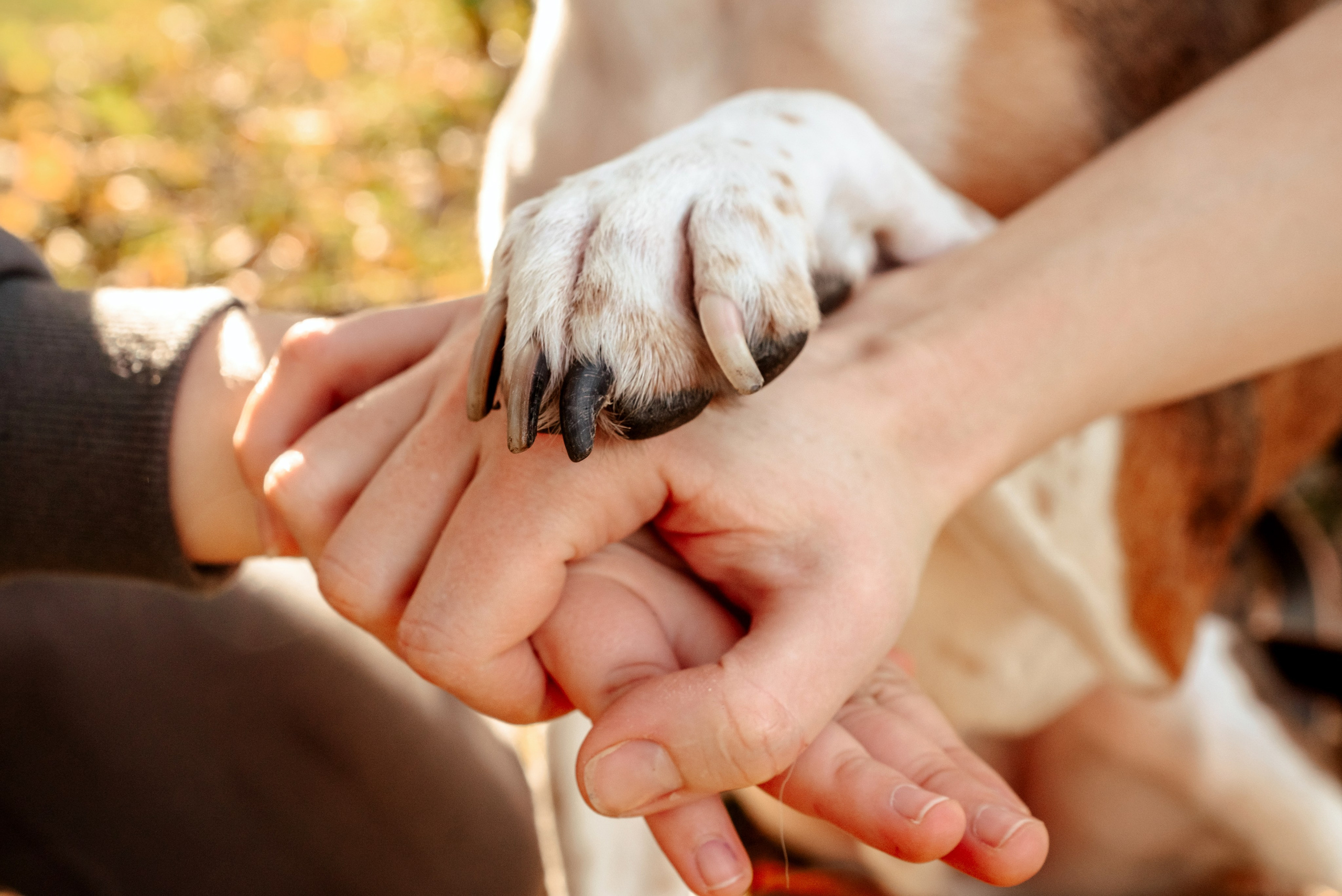 Фотосессии. Михаил Кругов | Фотограф