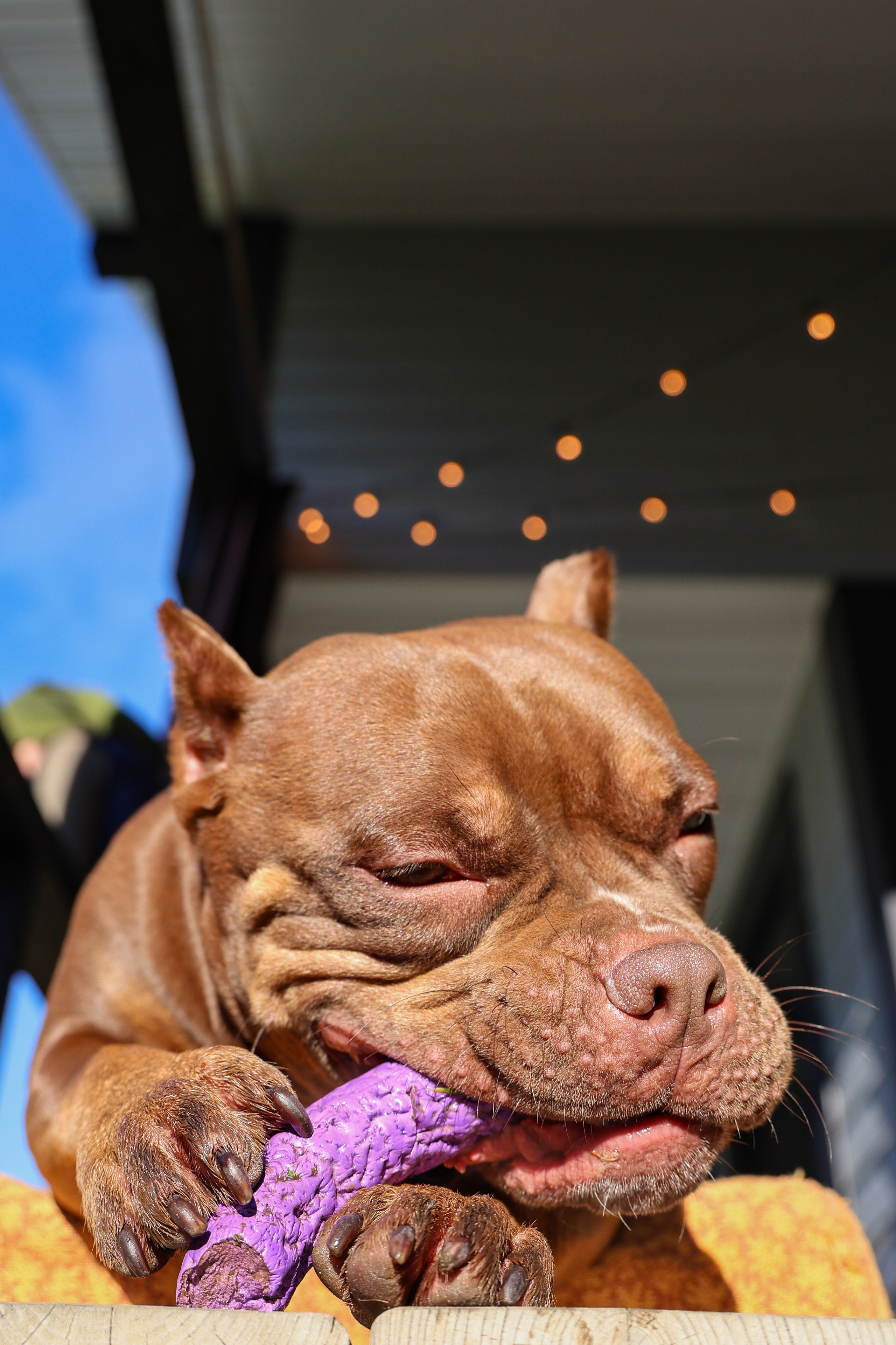 Амина. Валерия Гуртовая | Фотограф, Санкт-Петербург