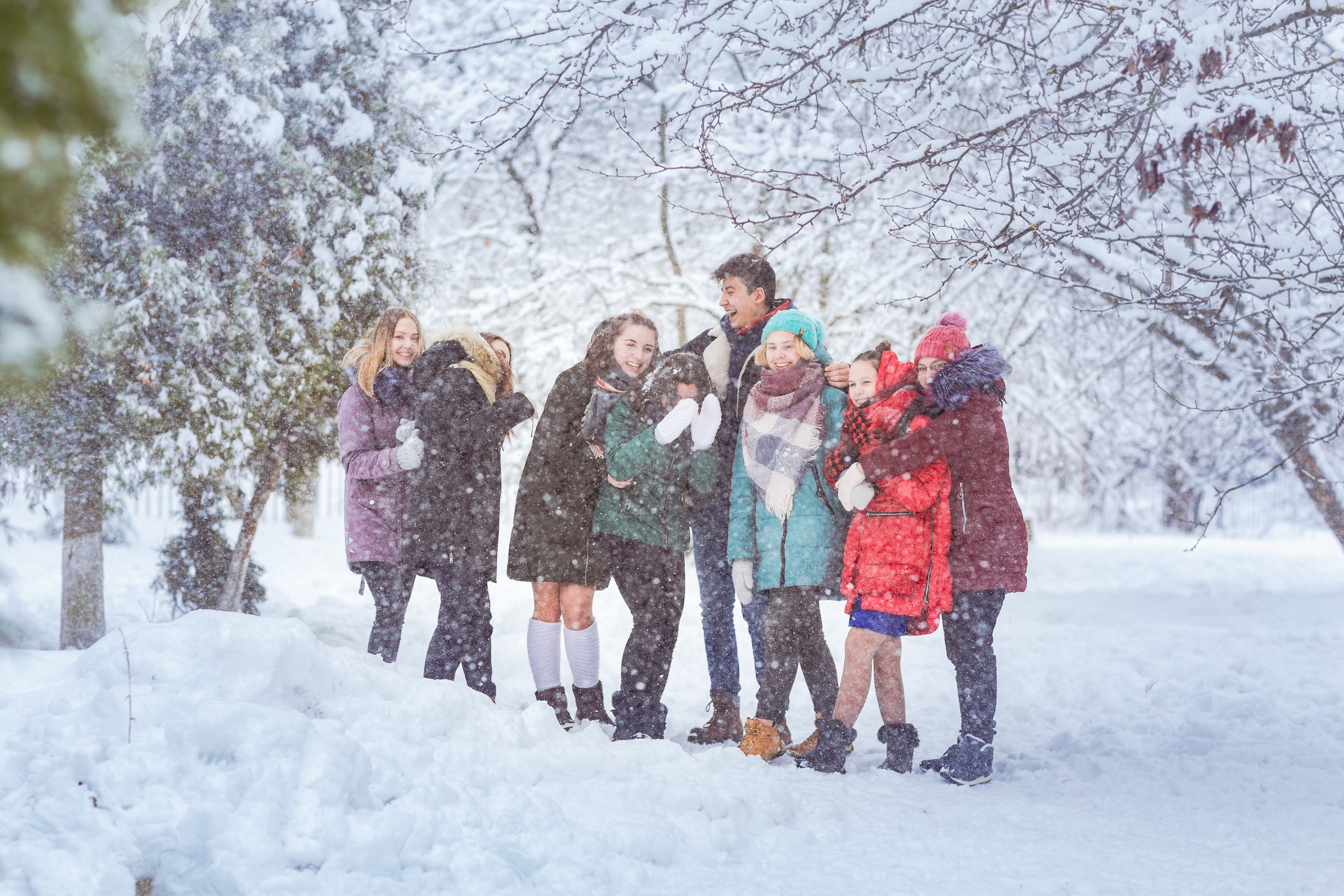 Зимняя прогулка