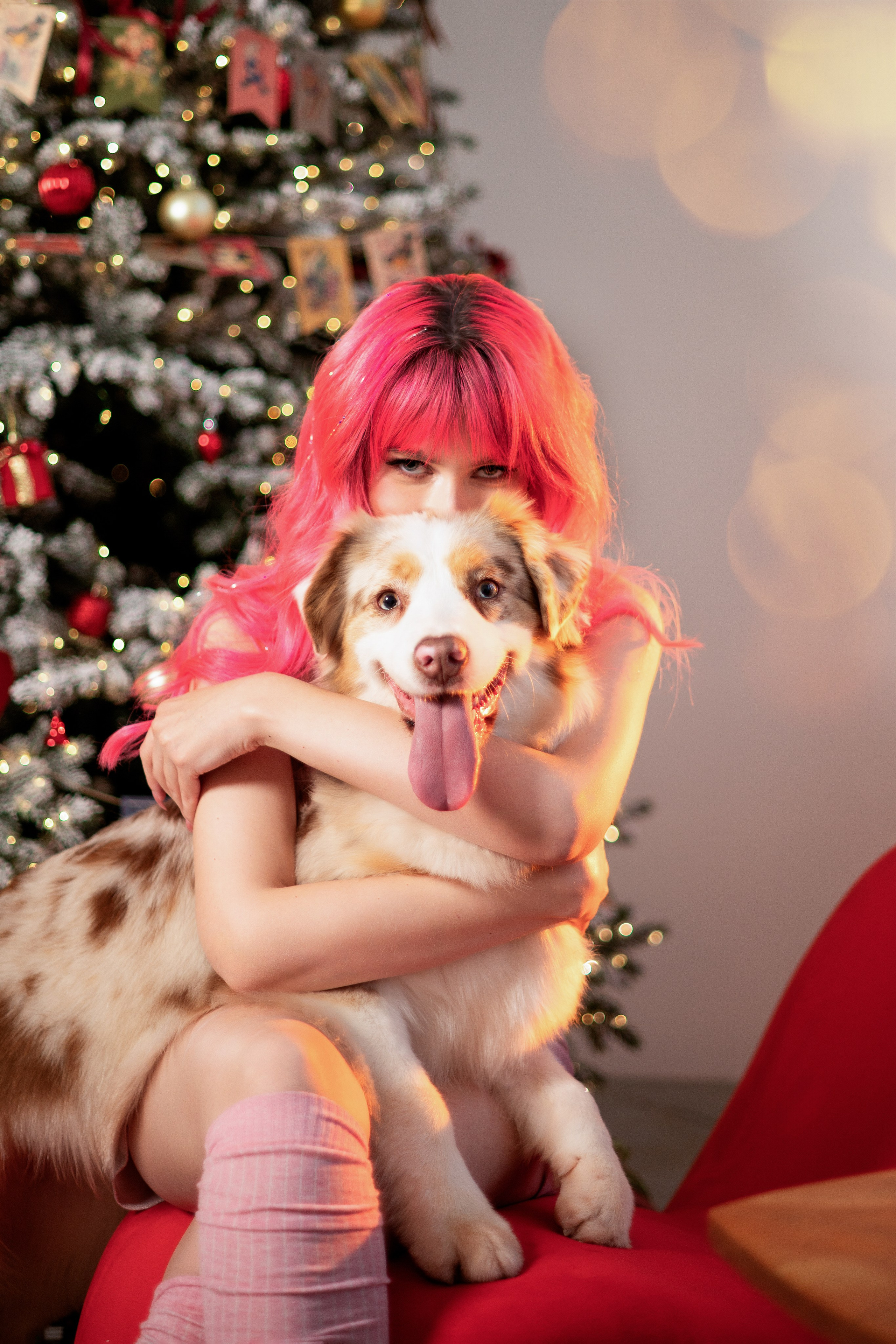 Фотодень с Австралийской овчаркой. Творческий фотограф Вологда