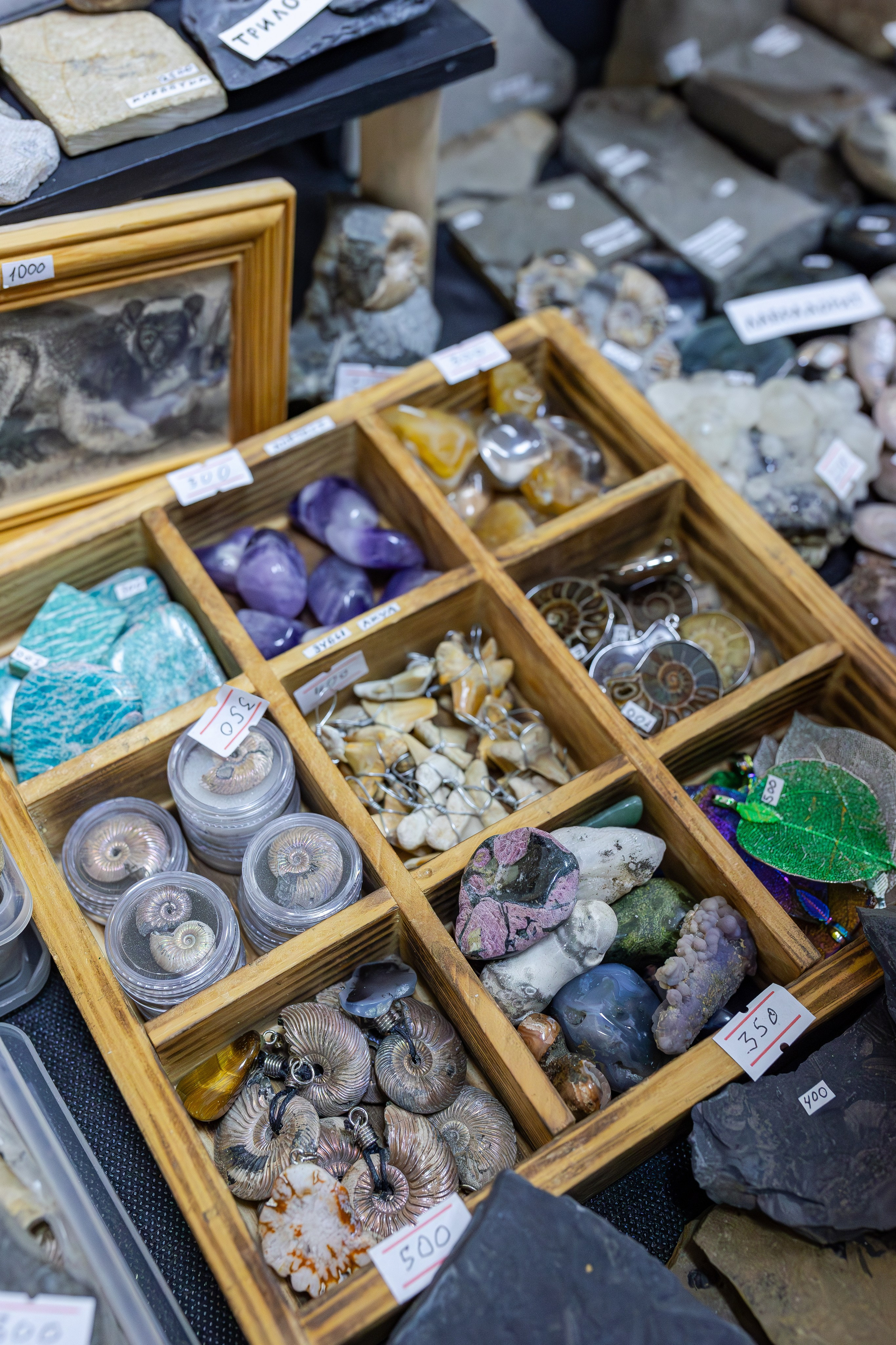 Монстериум апрель 2026. Александра Куликова фотограф, Москва