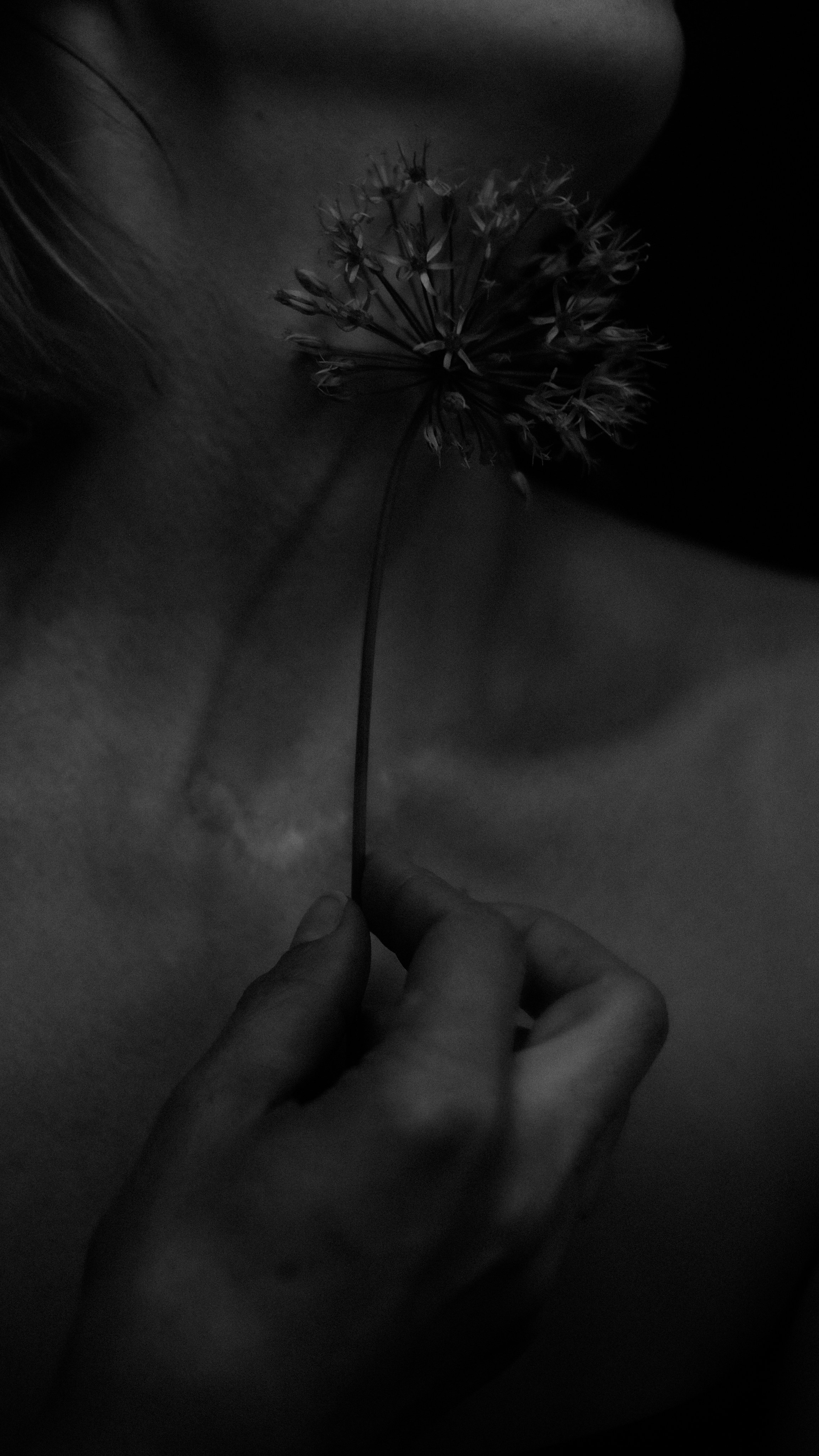 Женский фотограф. Краснодар. Ню. Будуар. Женский фотограф в Краснодаре. Ню. Будуар