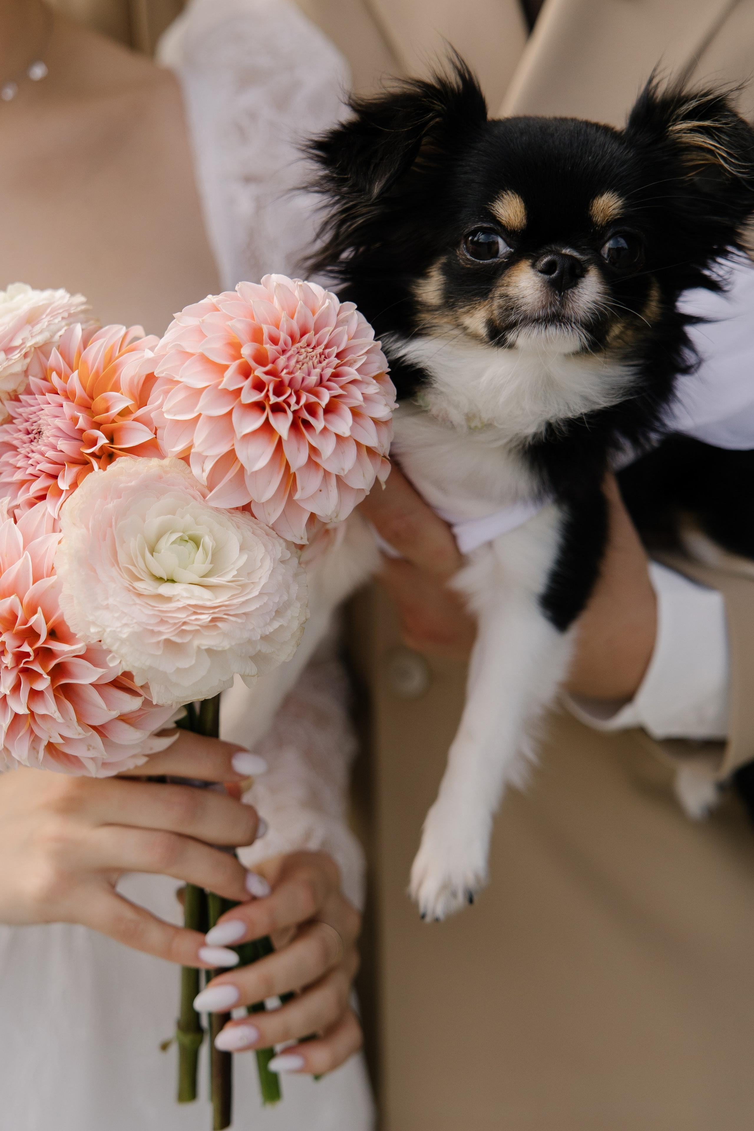 Егорь и Таня. Свадебный и семейный фотограф в Набережных Челнах и Казани