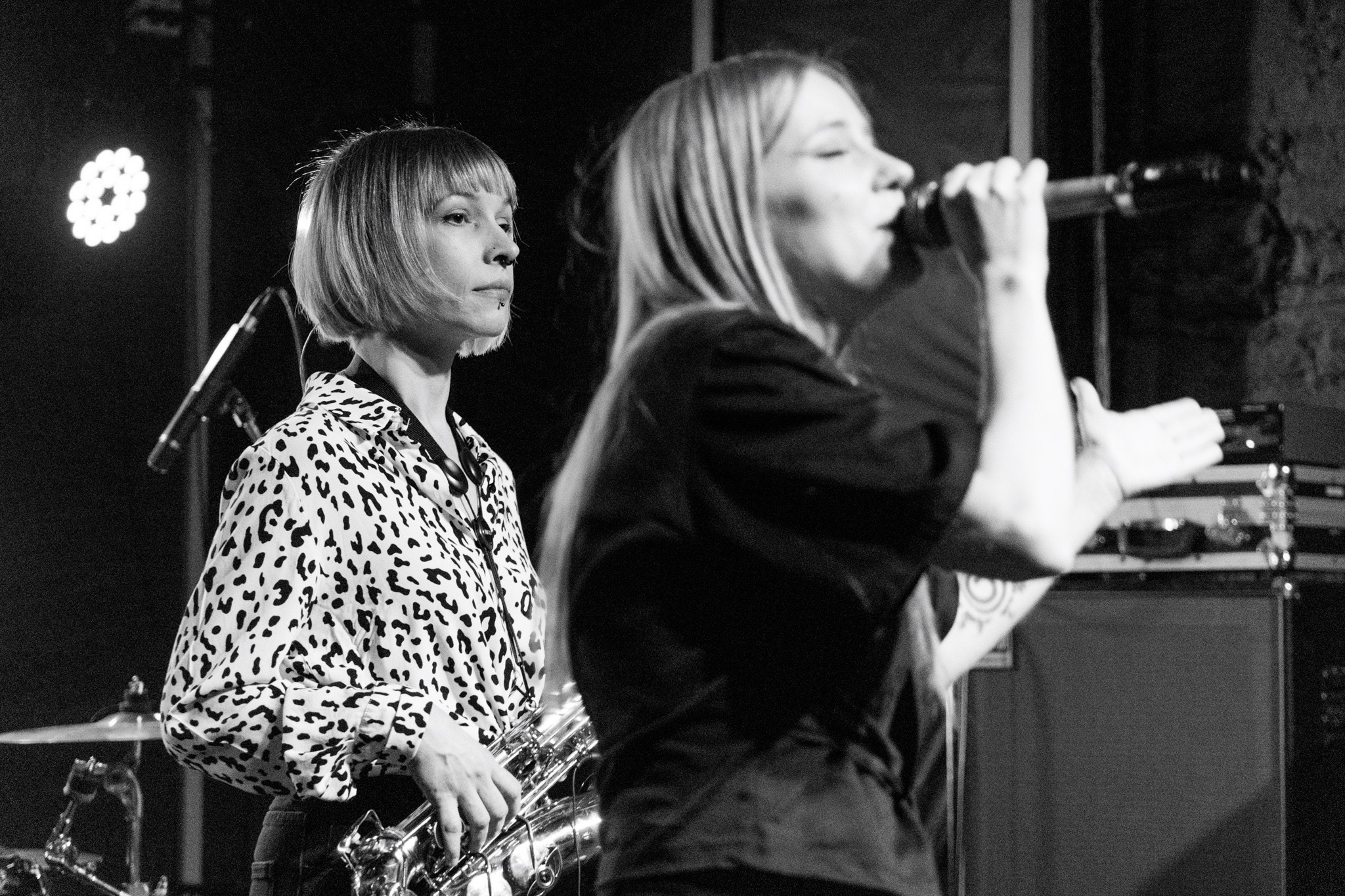 Морегоре, Paraskeva, Parolibre, 18.01.26, Alcatraz