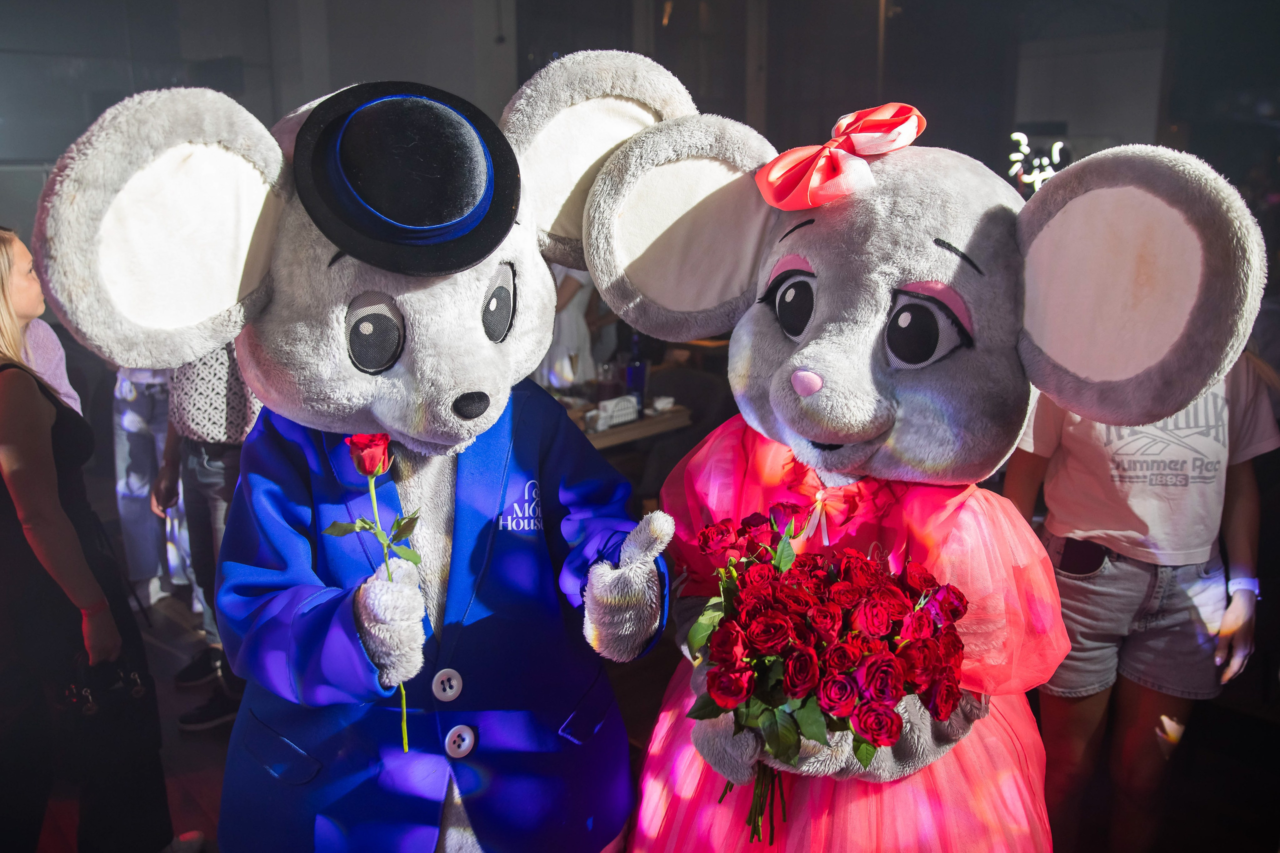 Отпетые мошенники в Mouse House. NesterovaMaria.ru