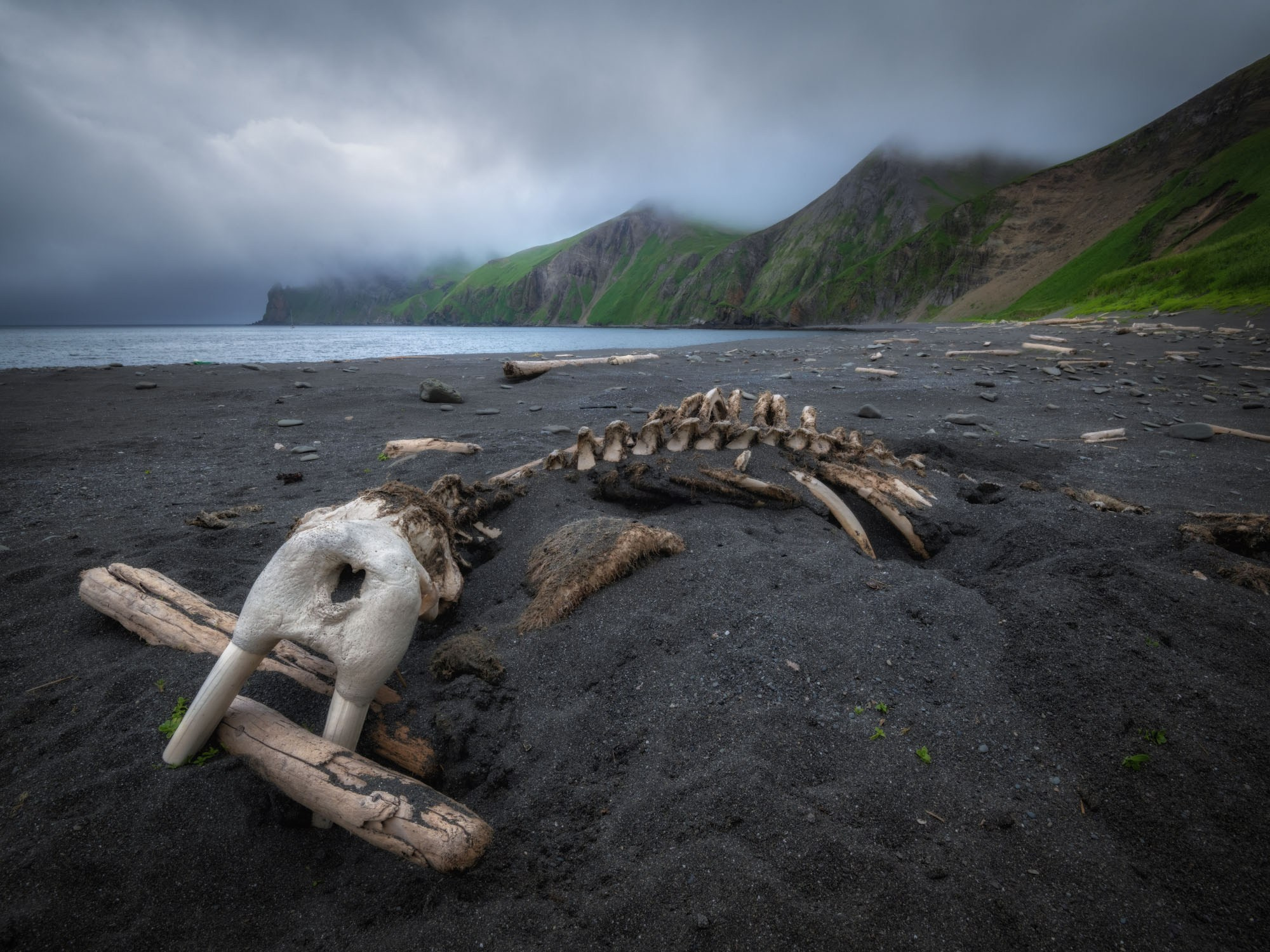 Галерея Командоры