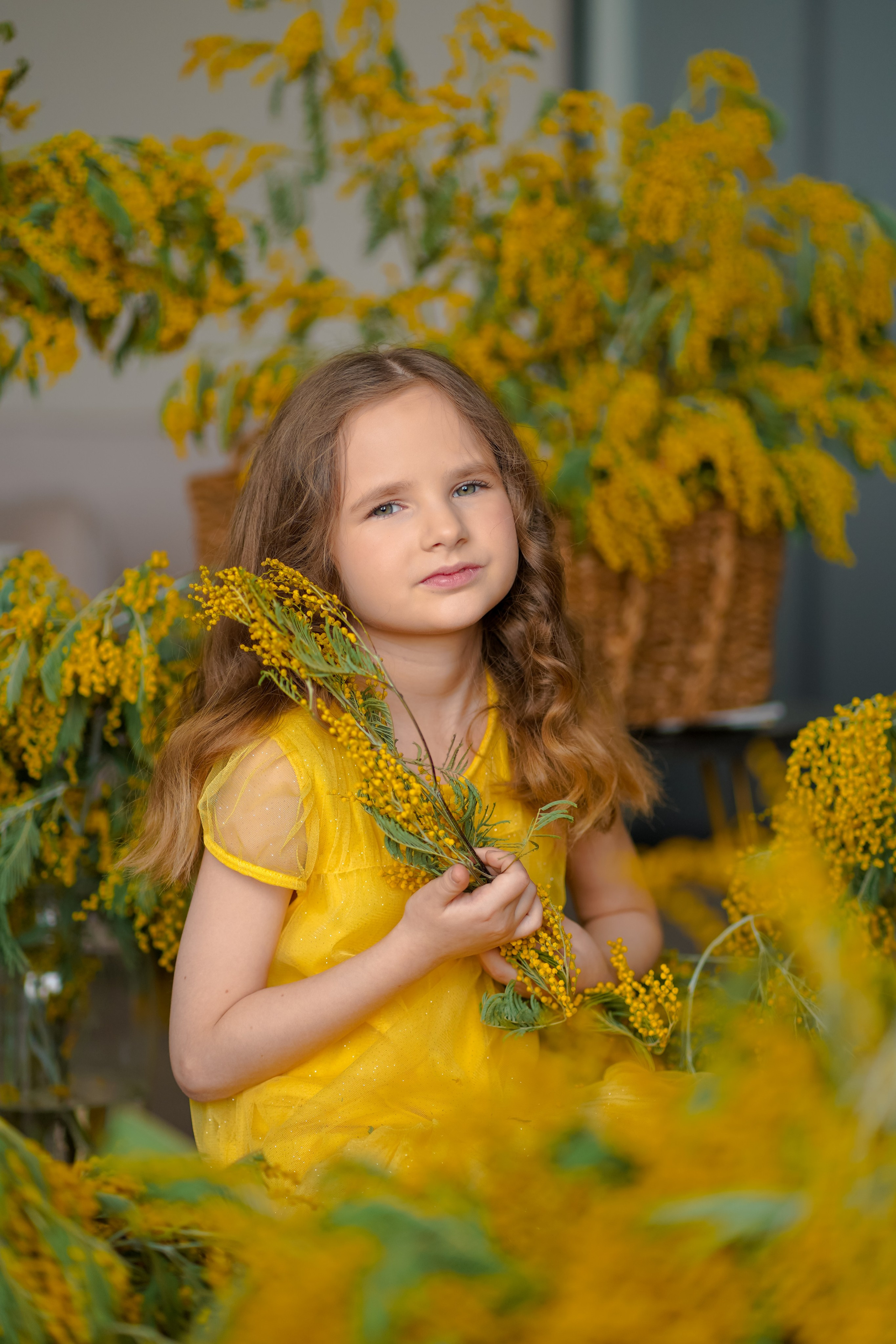 Мимоза. Фотограф Татьяна Митрофанова