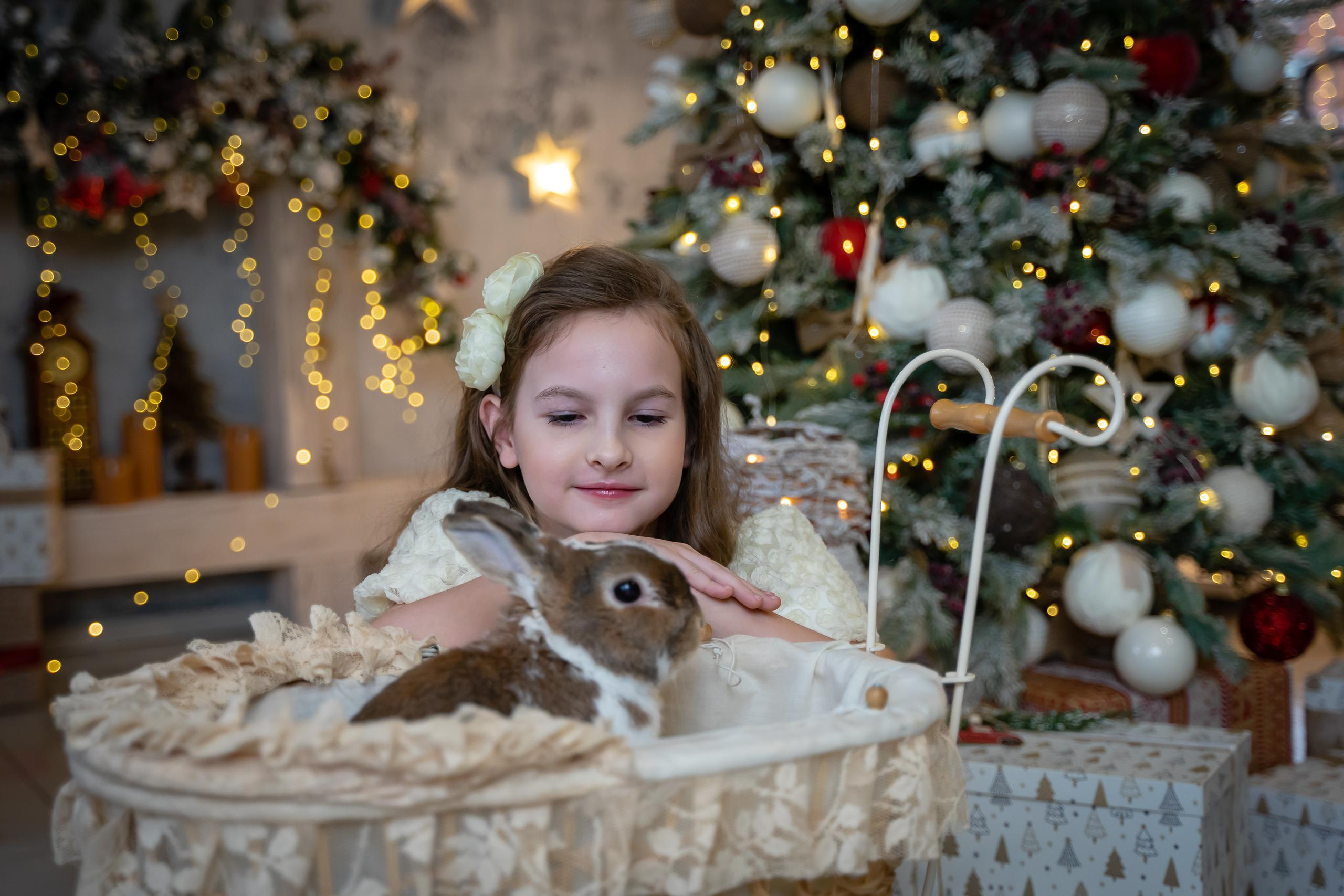 подростки, выпускники, Нахабино, дети, переходный возраст, Нахабинская СОШ№2, учитель, семья, кролик, фотограф Москва, репортаж, съемка, творчество, для деловых