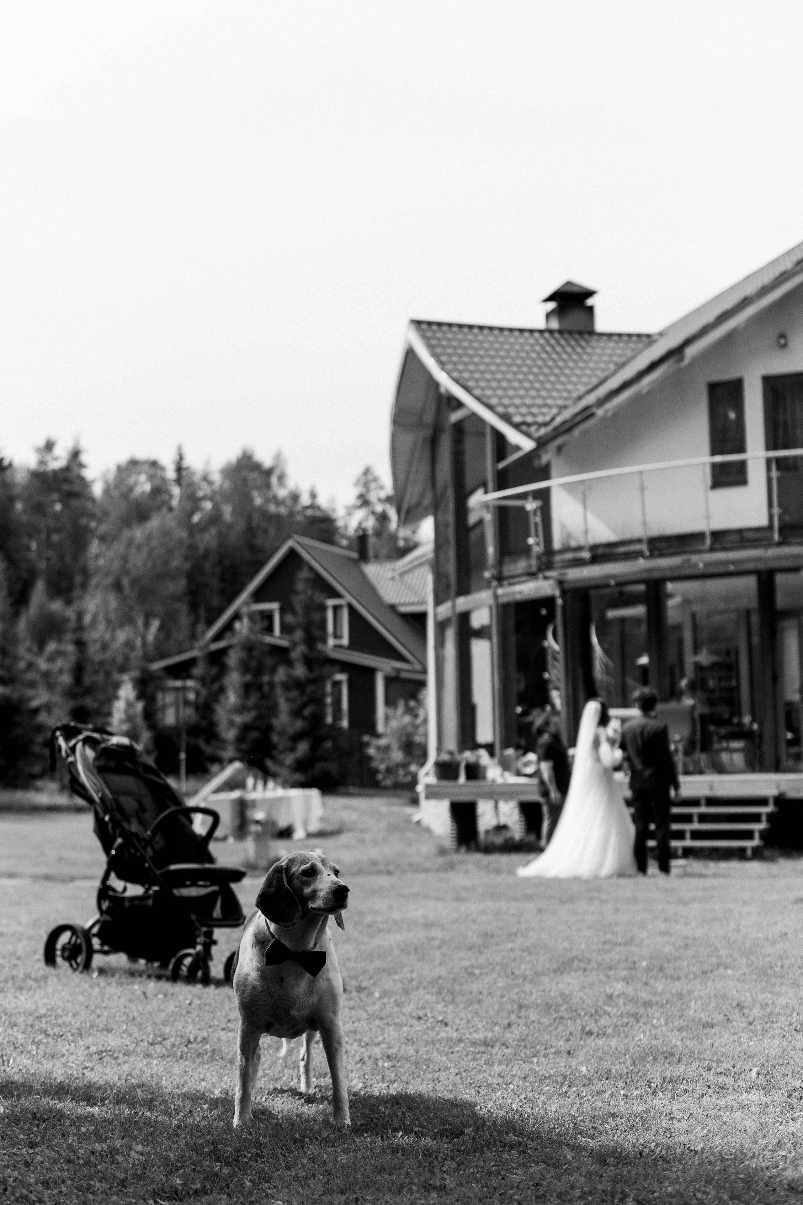 Букетик черники. Майя Алиева Свадебный фотограф в Санкт-Петербурге