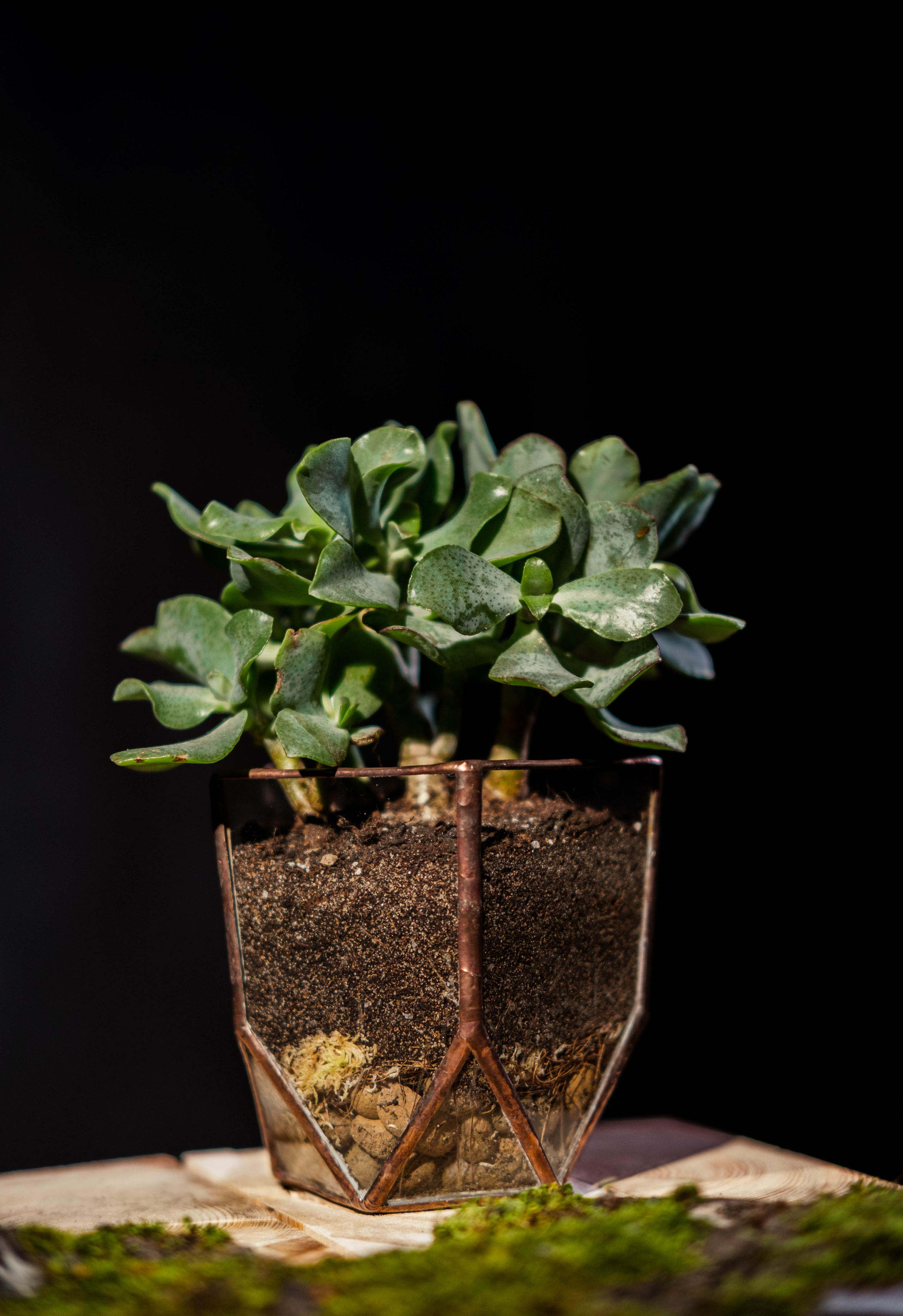 ПРЕДМЕТНАЯ СЪЁМКА. Фотограф Чита | Иркутск | Новосибирск