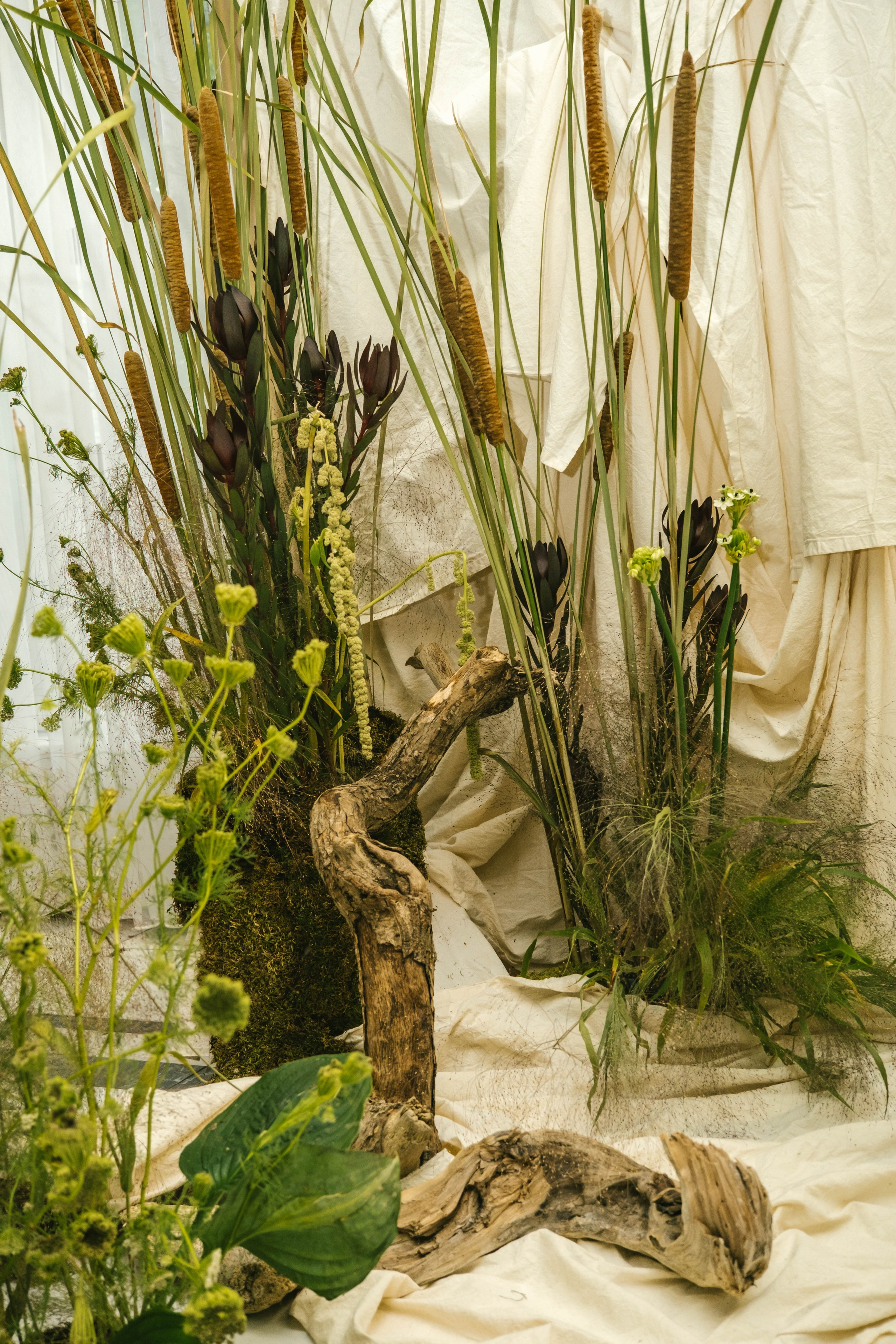 Презентация бренда Davines 2024. Ксения Почтарь. Декоратор и флорист, город Владивосток