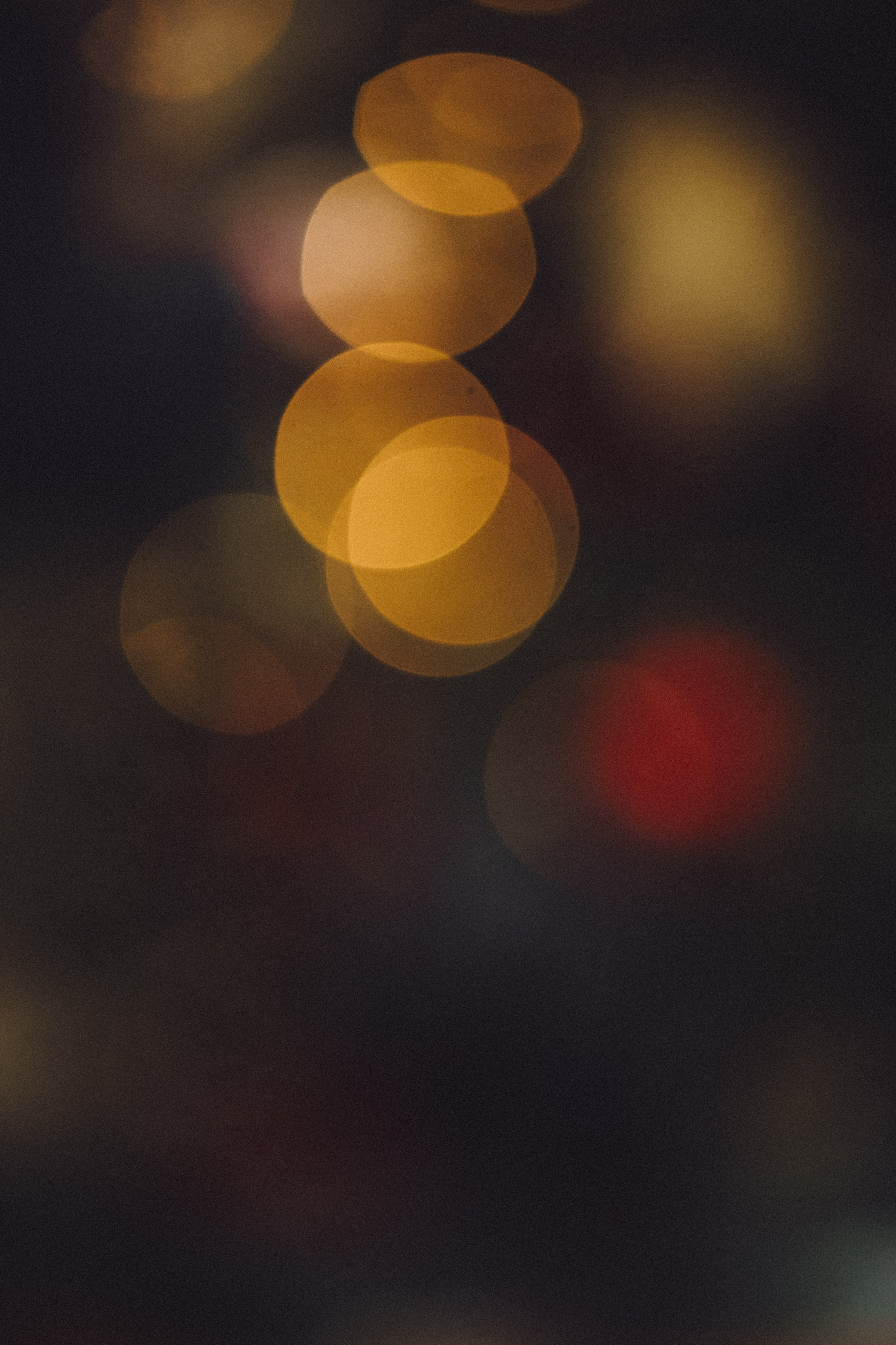 Топик и его семья