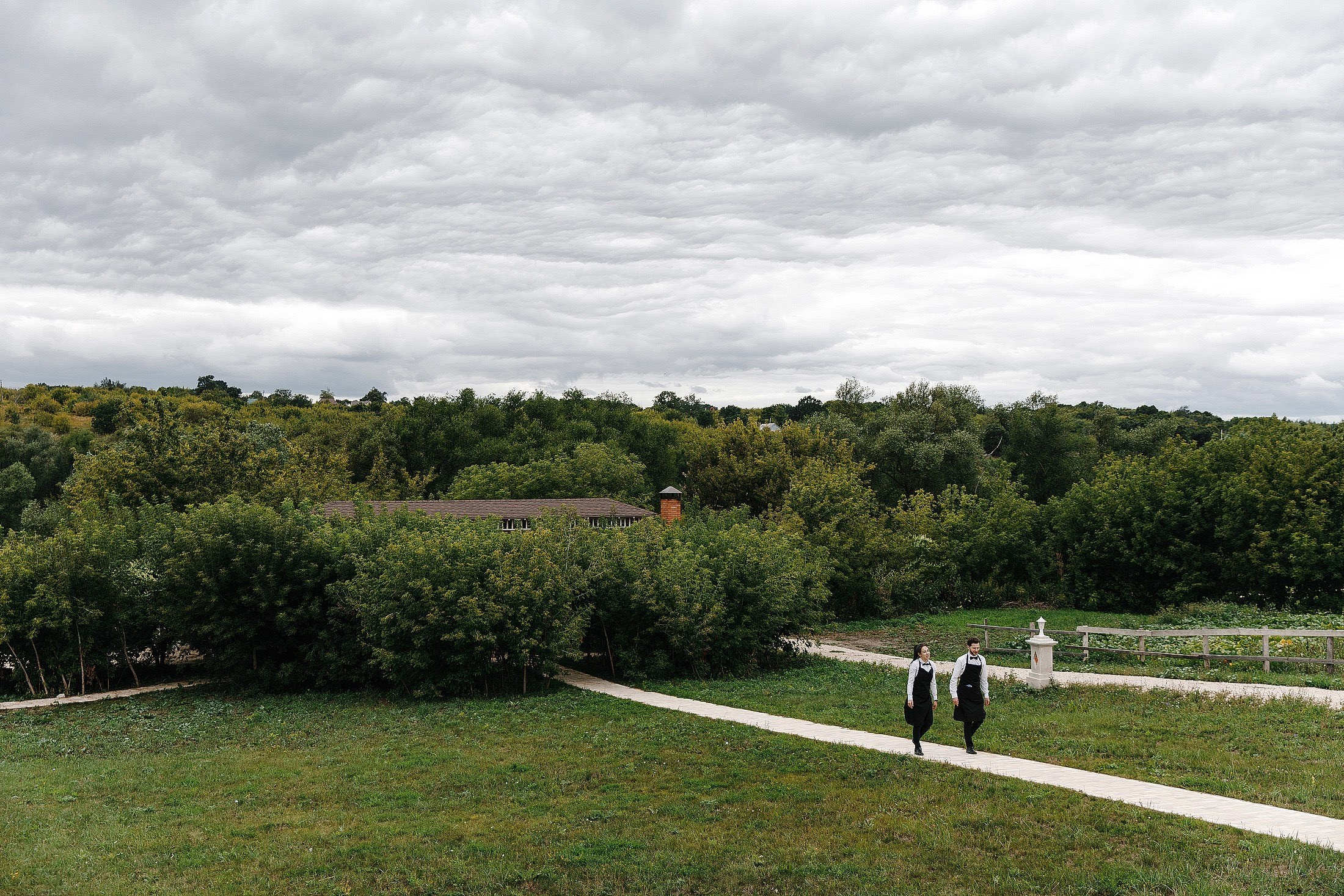 Андрей и Алина. Свадебный фотограф в Москве и МО Александр Ласковенков