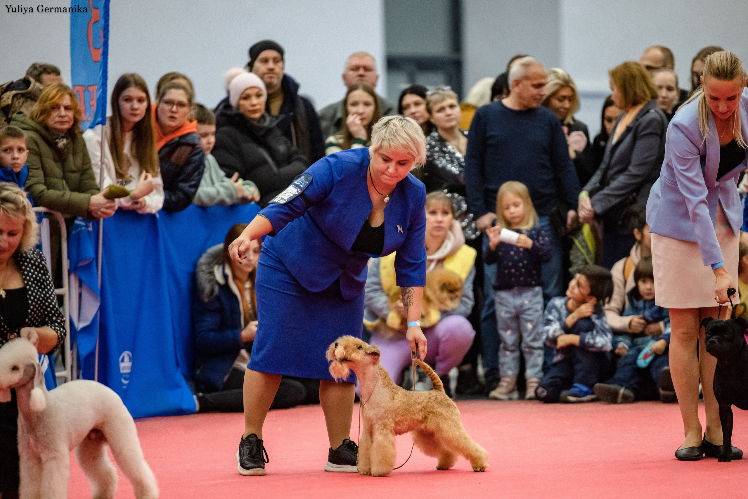 Нижний Новгород 21-22.10.2023. Фотограф-анималист Юлия Германика