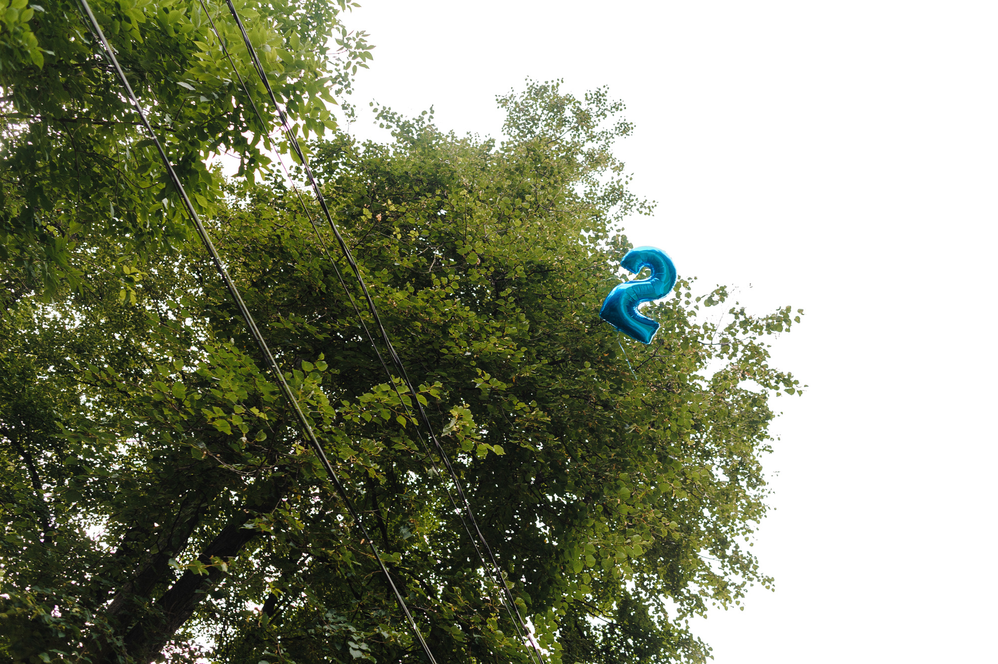 Даниил. 2 года. Свадебный фотограф в Москве Алексей Тук