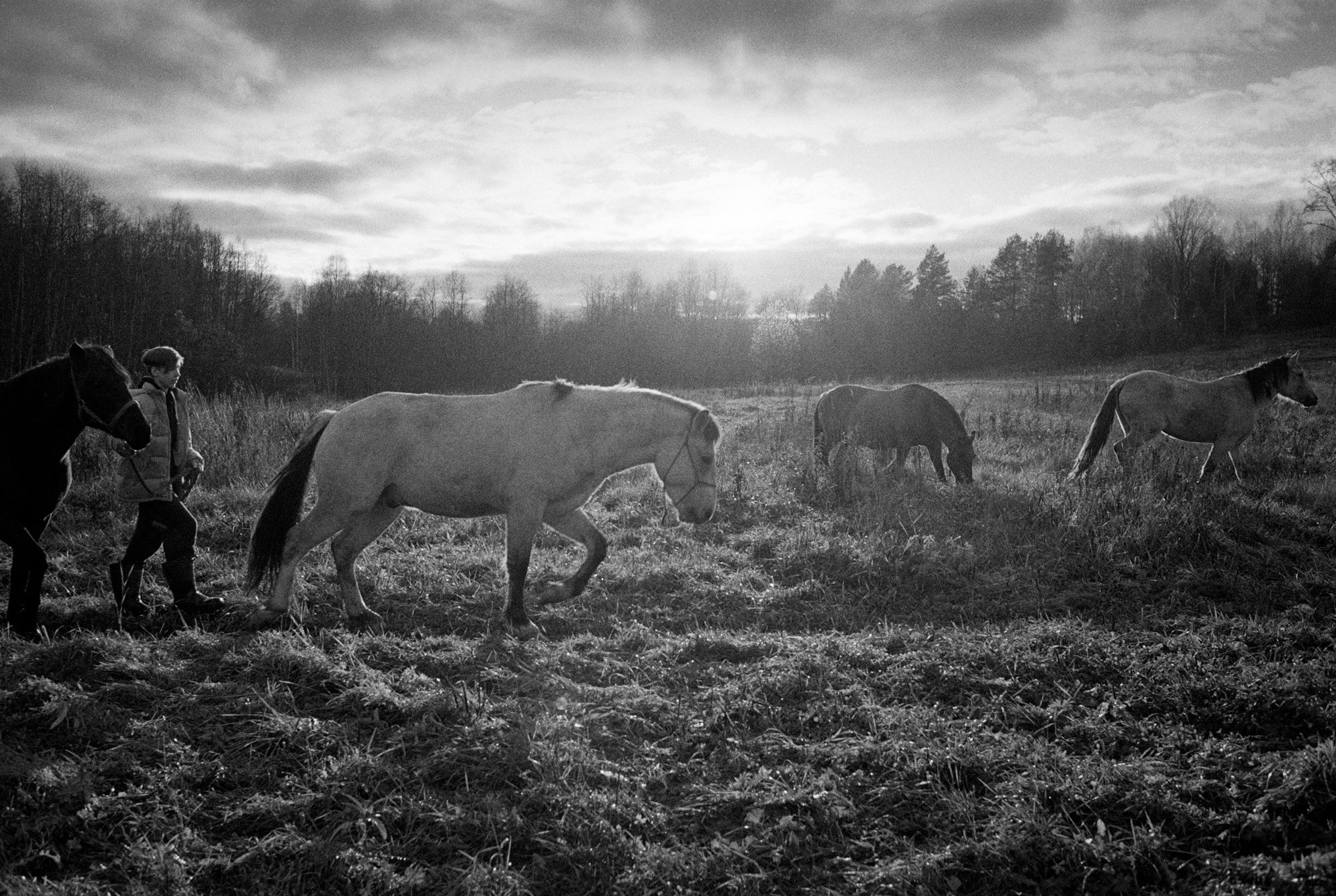 Кострома Blues. Документальный фотограф Алексей Мякишев, Москва