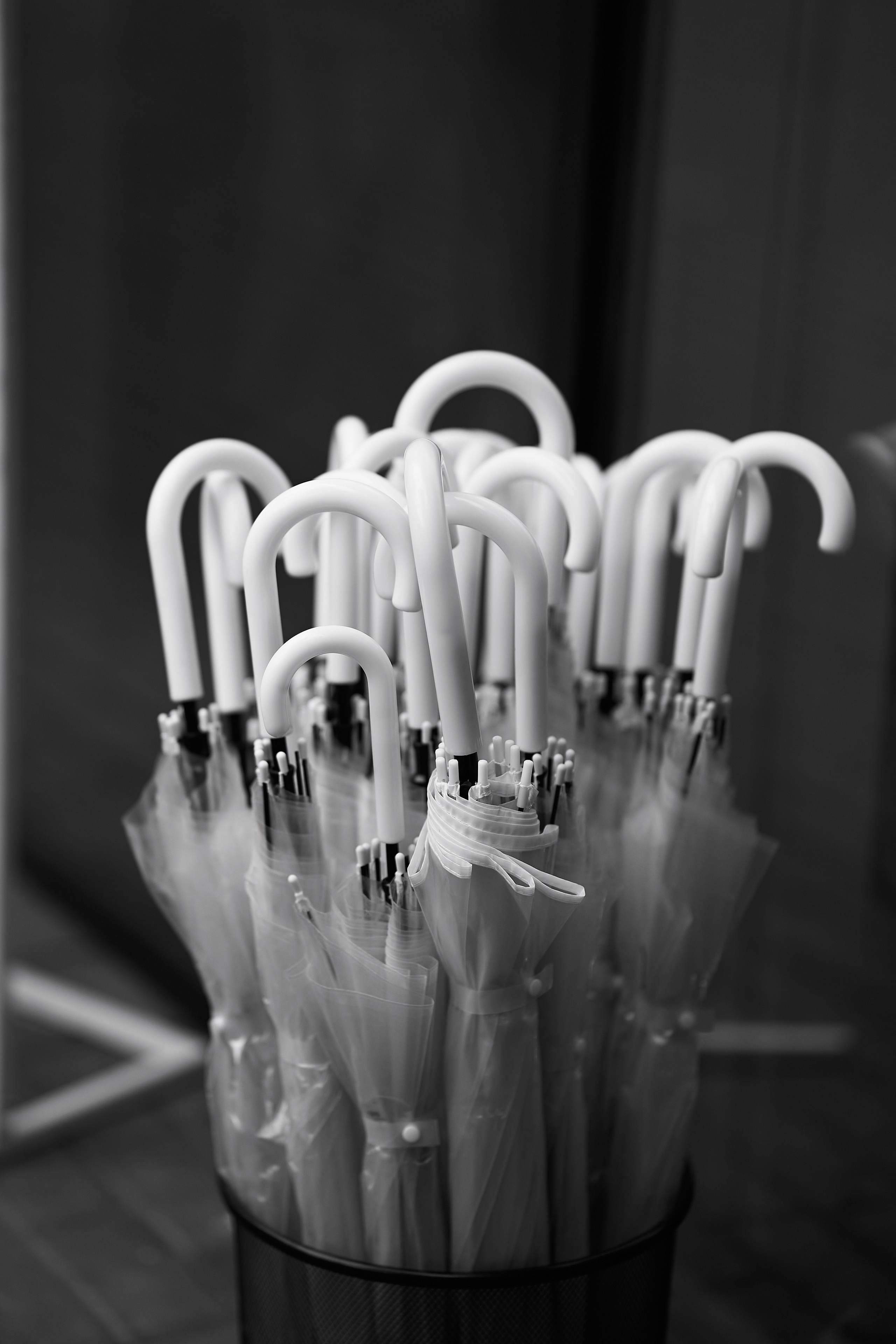 Алина и Илья. Свадебный фотограф Минск РБ