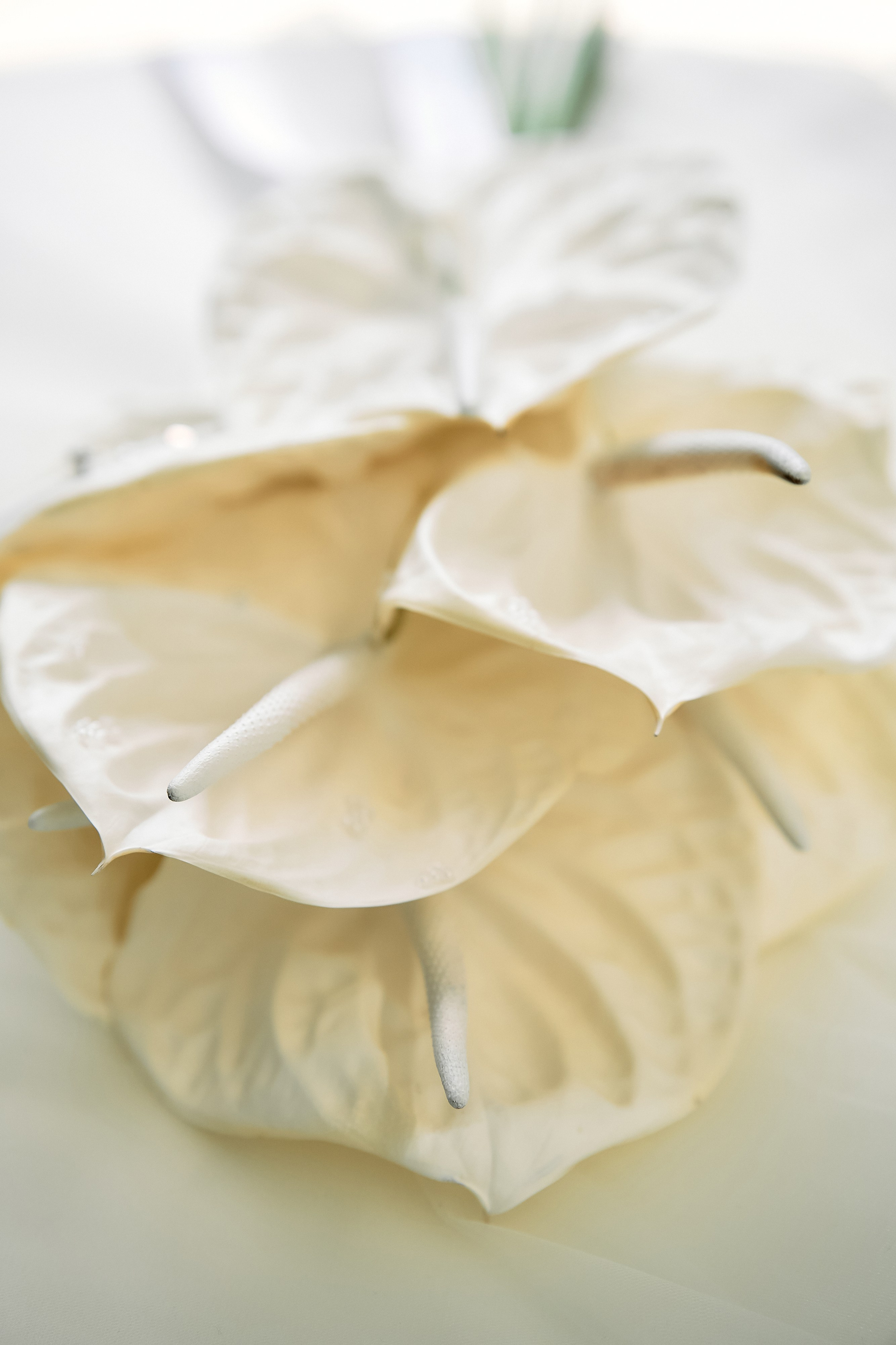 Свадебный фотограф Минск РБ