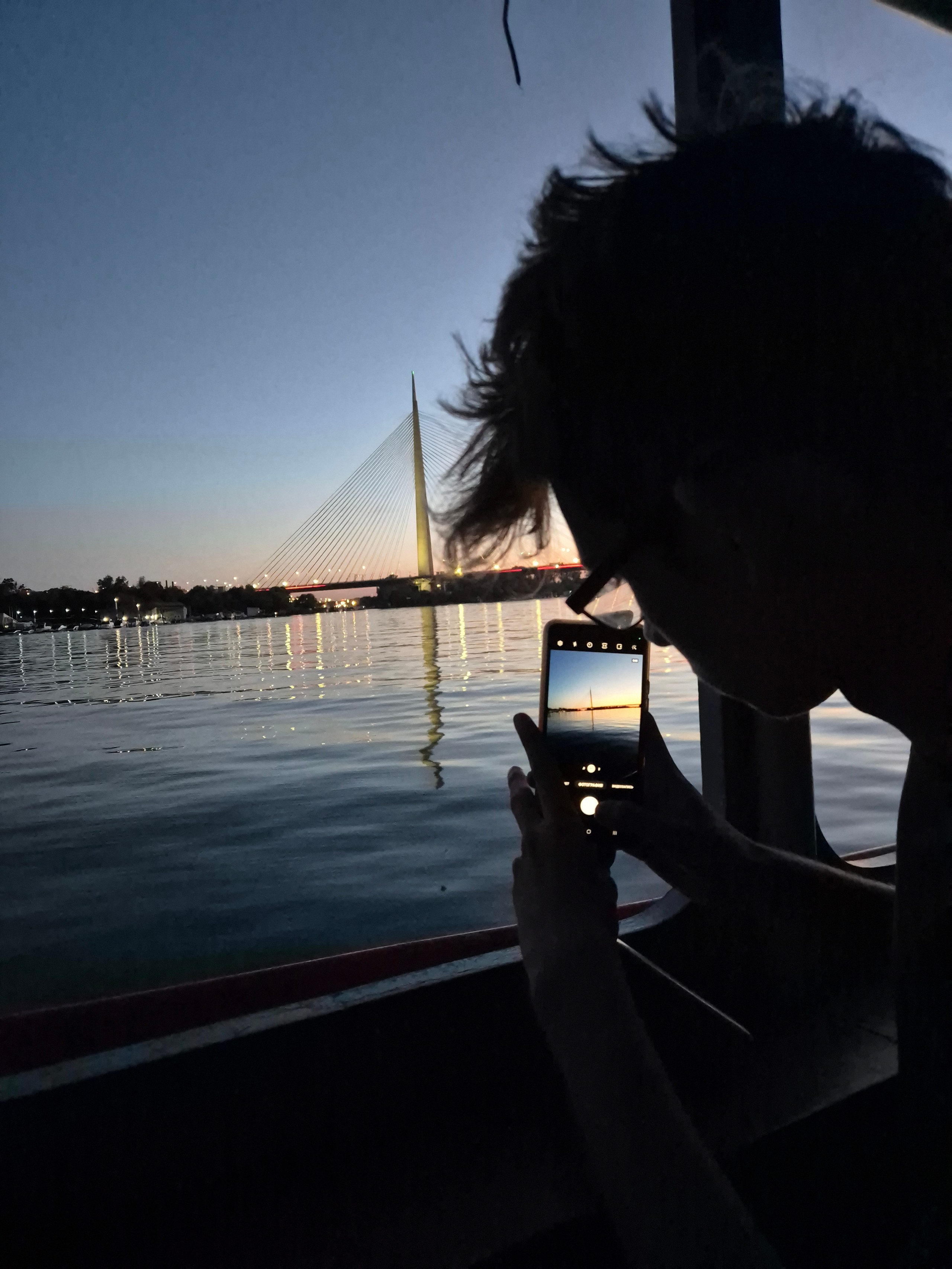 Мост над А́дой - дословно Мост над островом - самый высокий мост города, вантовый мост через реку Саву