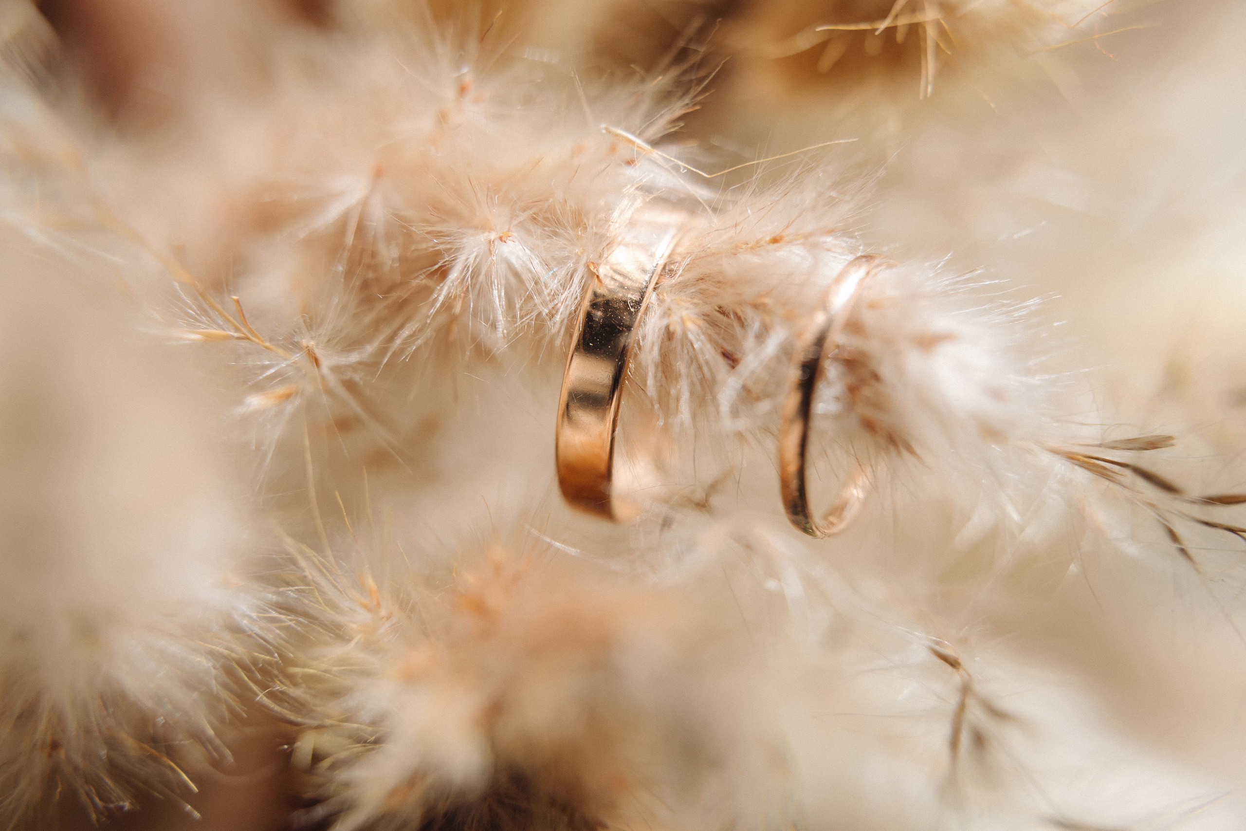 Свадебная фотосессия. Свадебный и семейный фотограф в Серпухове и Москве Павел Воробьев