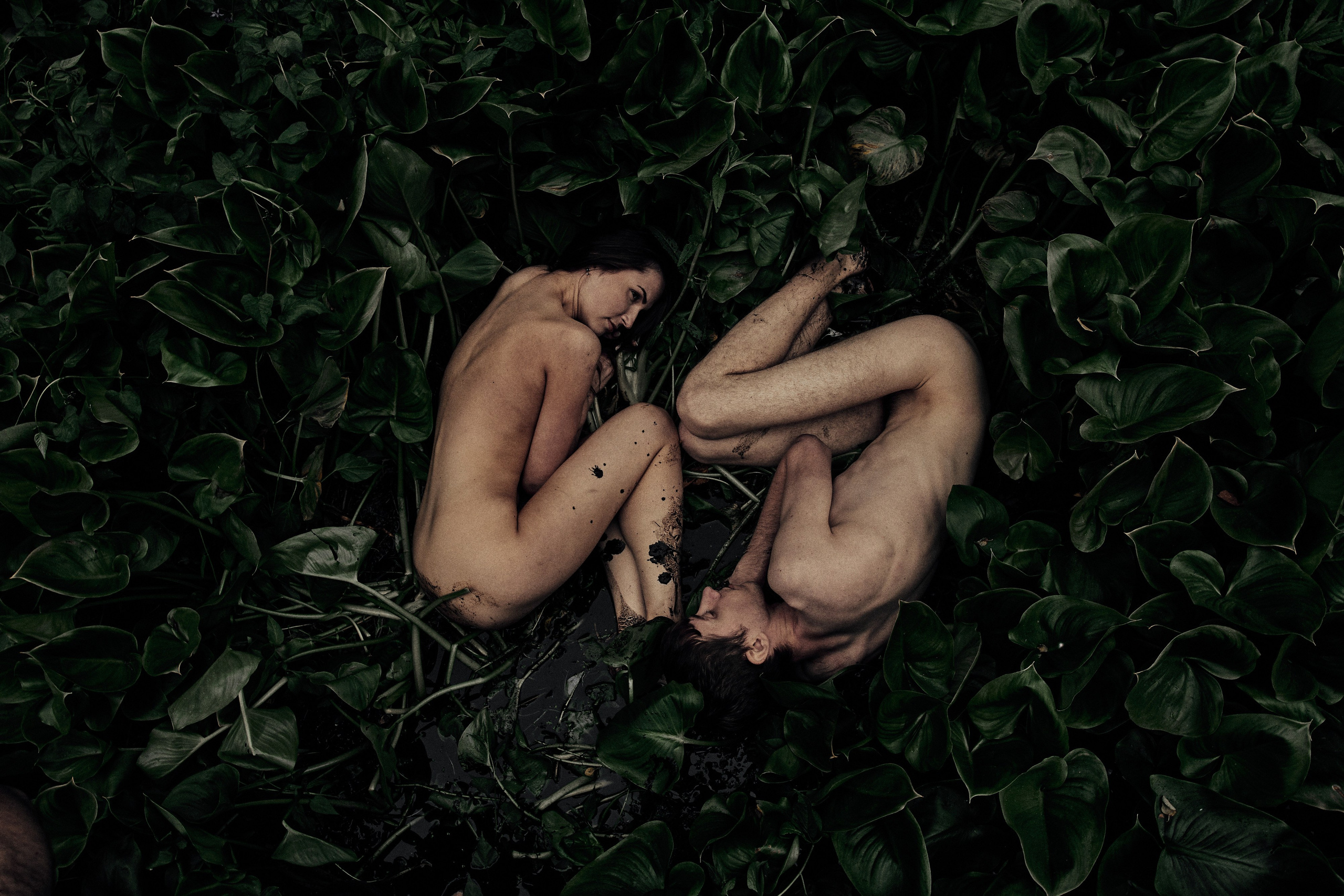 Фотосессия Love Story — романтичные снимки для влюбленных | Дмитрий Мазуркевич. Дмитрий Мазуркевич: Профессиональный Репортажный Фотограф