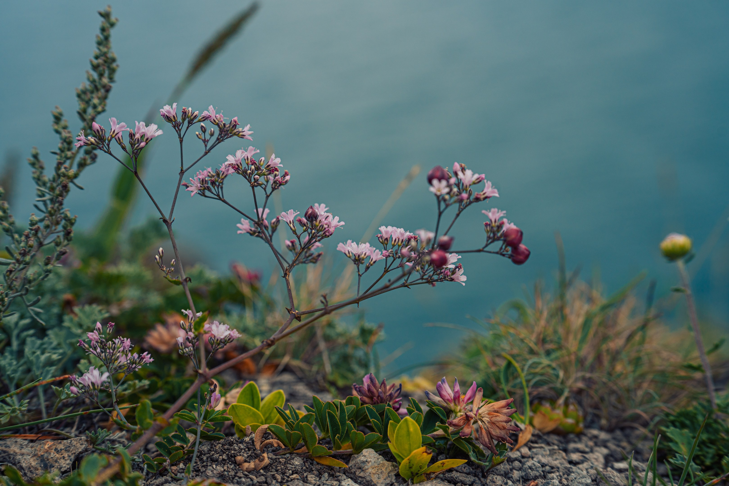 Бухта Дубовая. Иван Зайцев (IZIART) — создание культурного кода через фото и видео