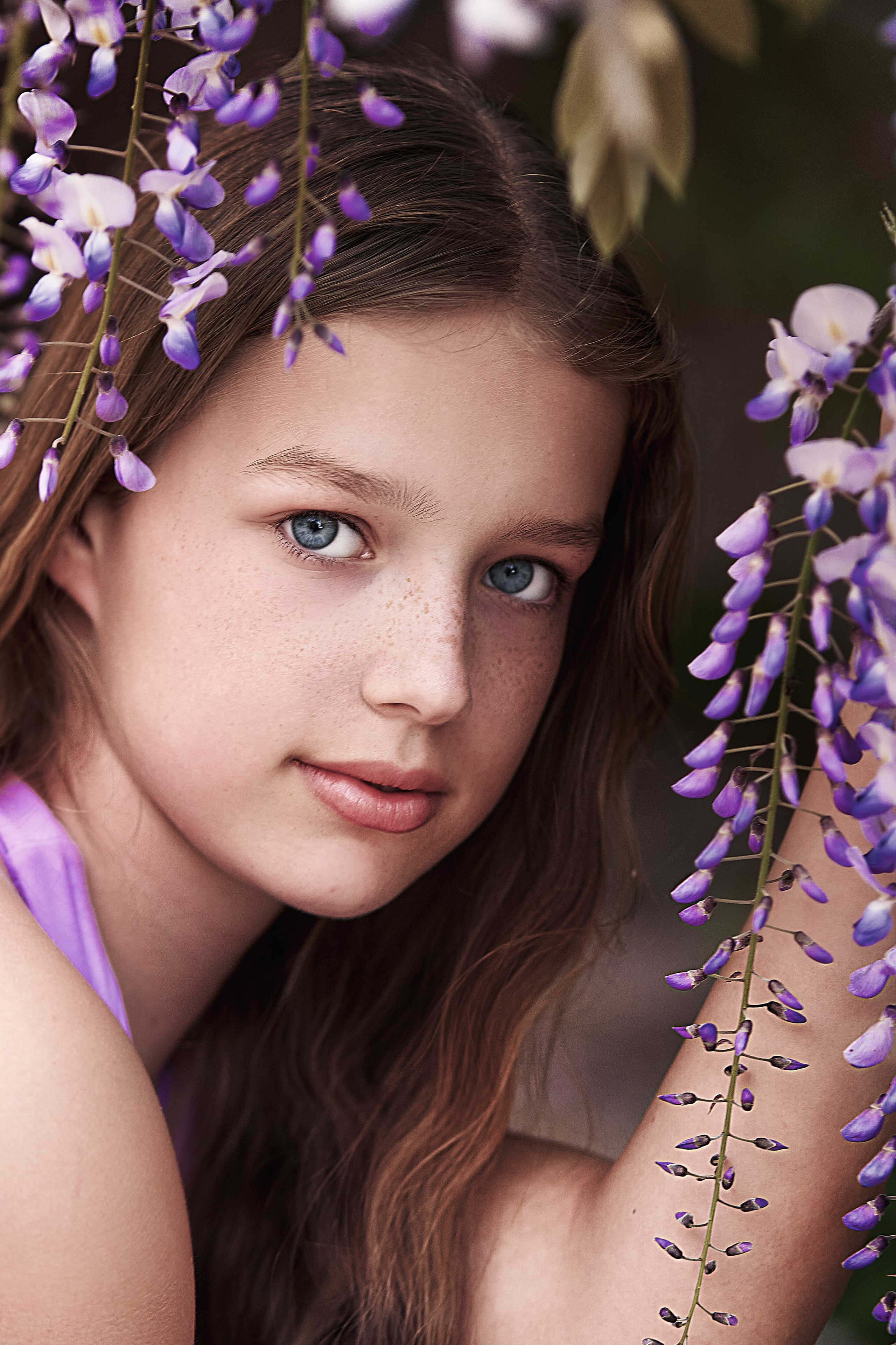 Цветущая глициния в старом городе, Будва