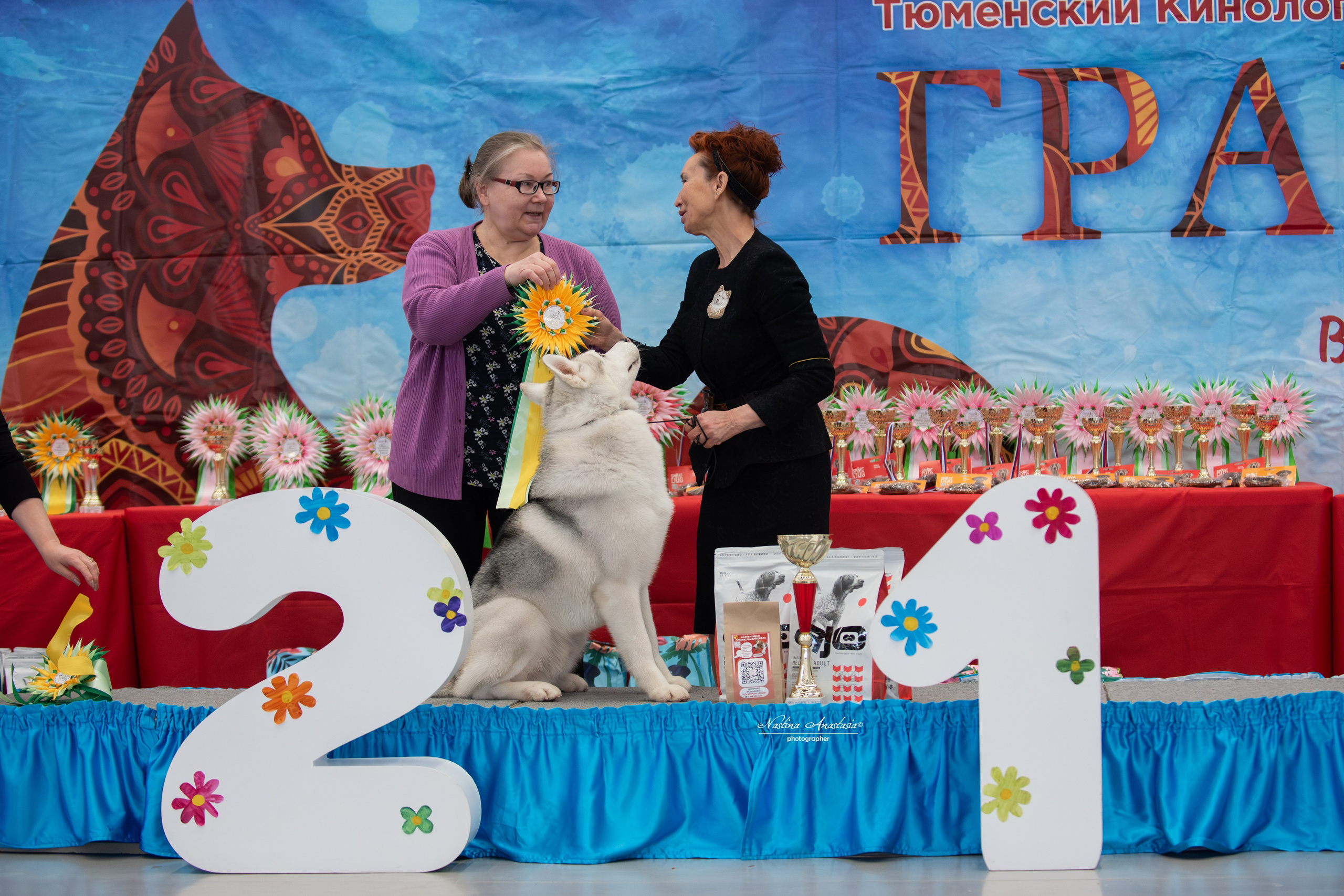 Выставки. Фотограф — Анималист