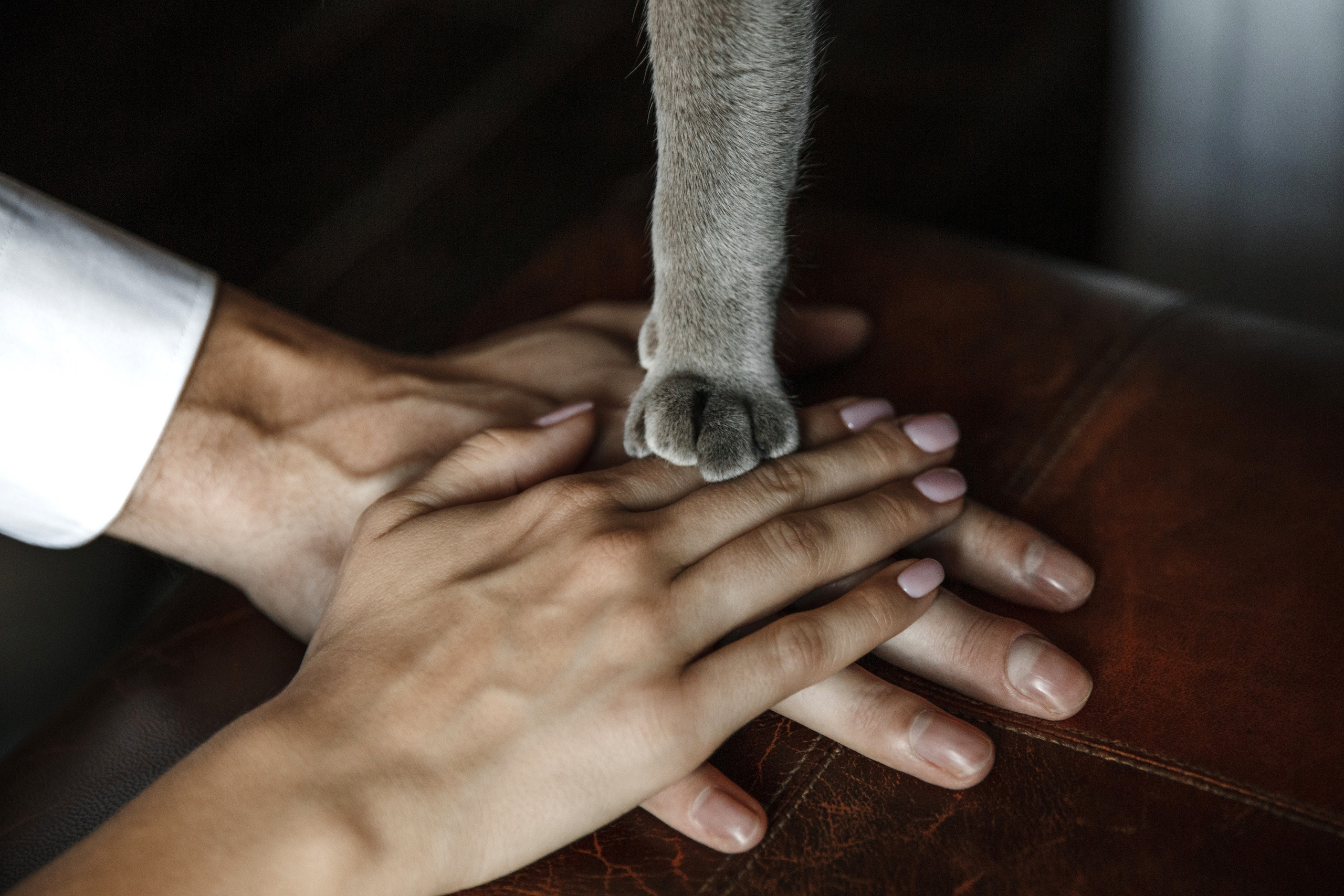 Свадьба диджея. Свадебные фотосессии в Москве. Фотограф Сергей Ржевский