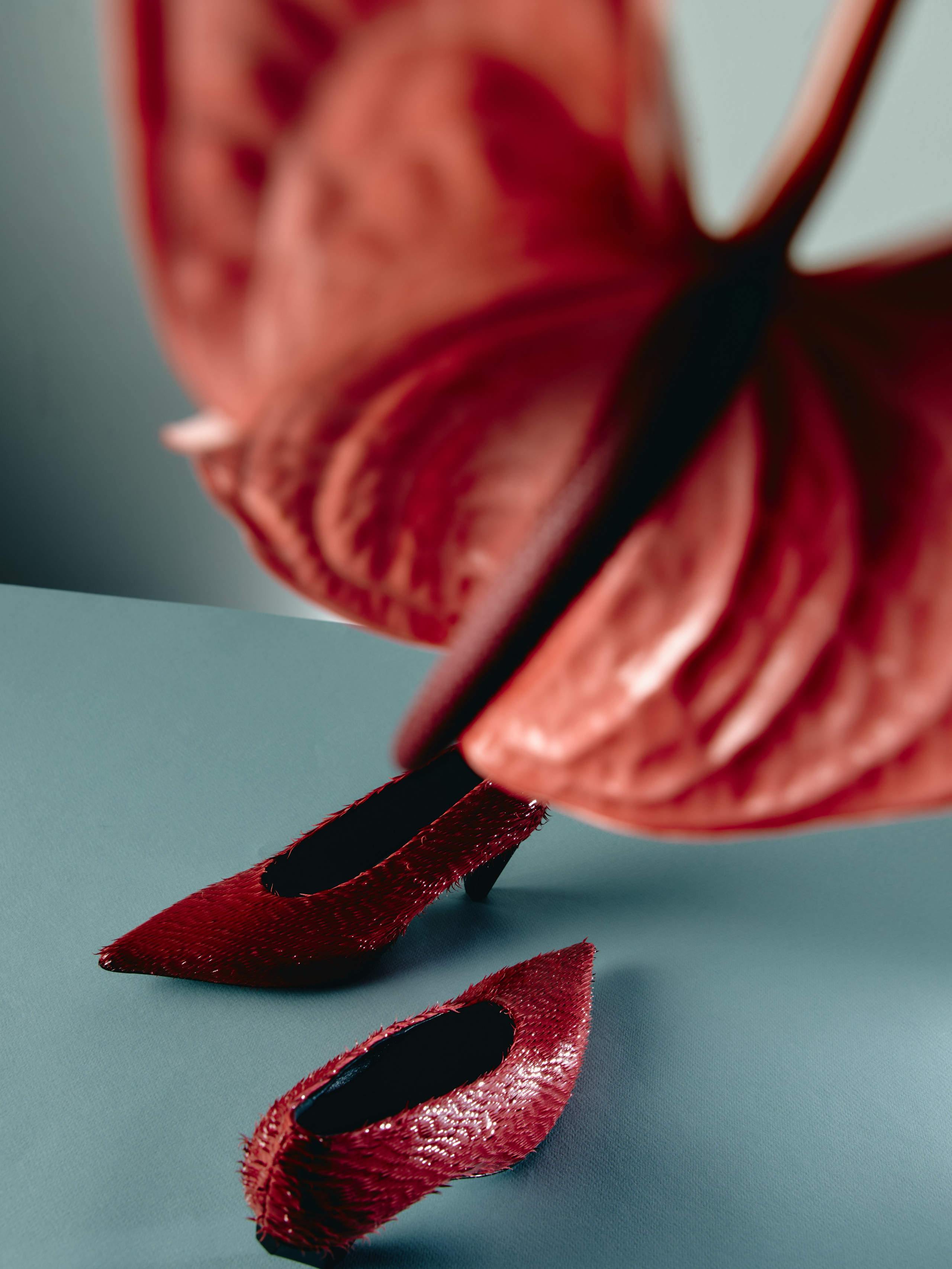 Accessories. Сет дизайнер предметный фотограф в Москве Анна Андреева