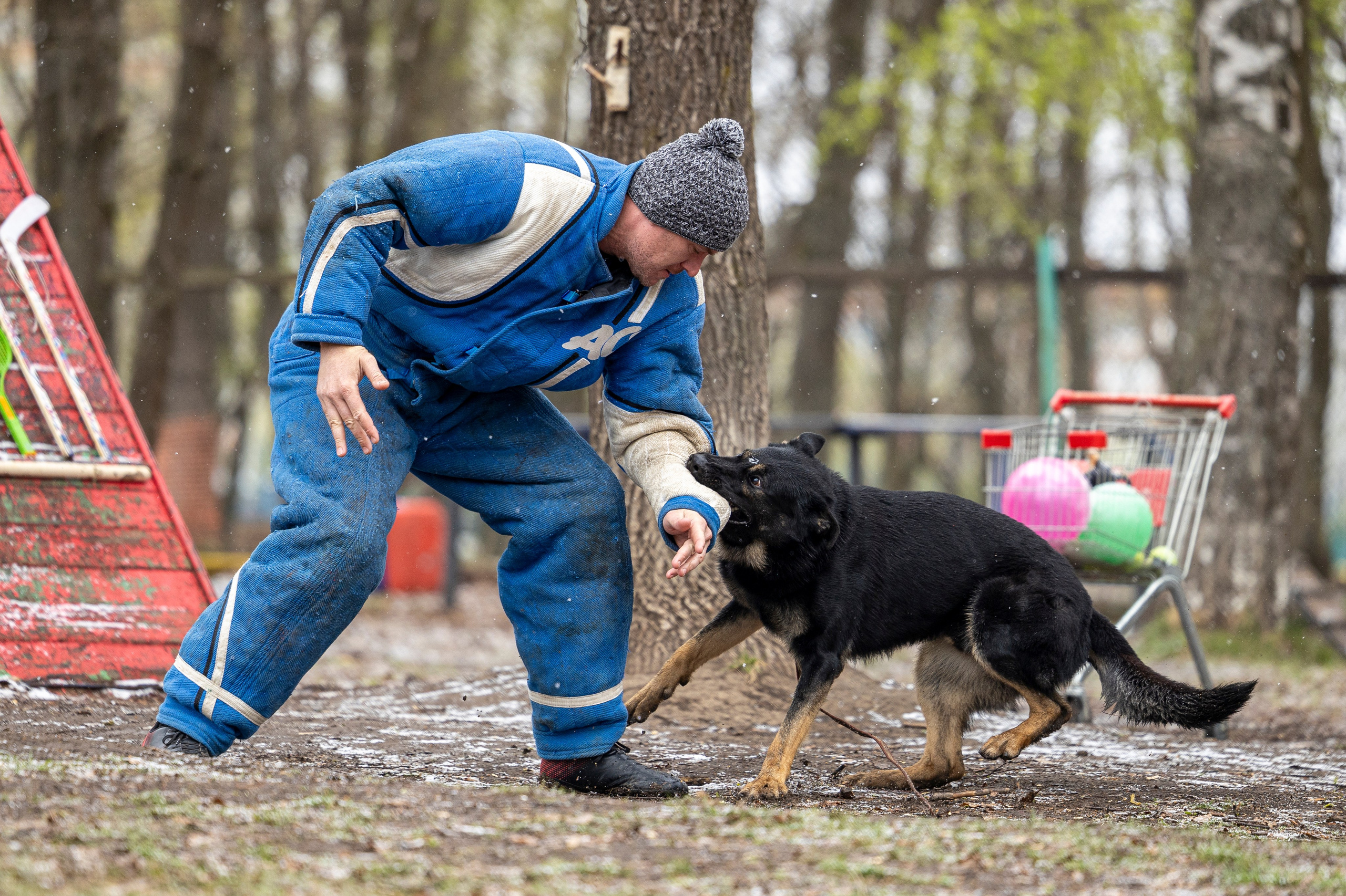 Квалификационные состязания по мондьорингу г. Вологда 11.05.24. Фотограф-анималист Анна Маринич