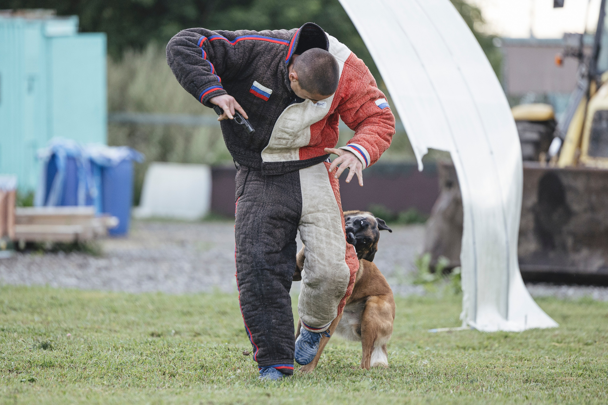 08.08.25-10.08.25 ЧР по мондьорингу г. Вологда. Фотограф-анималист Анна Маринич