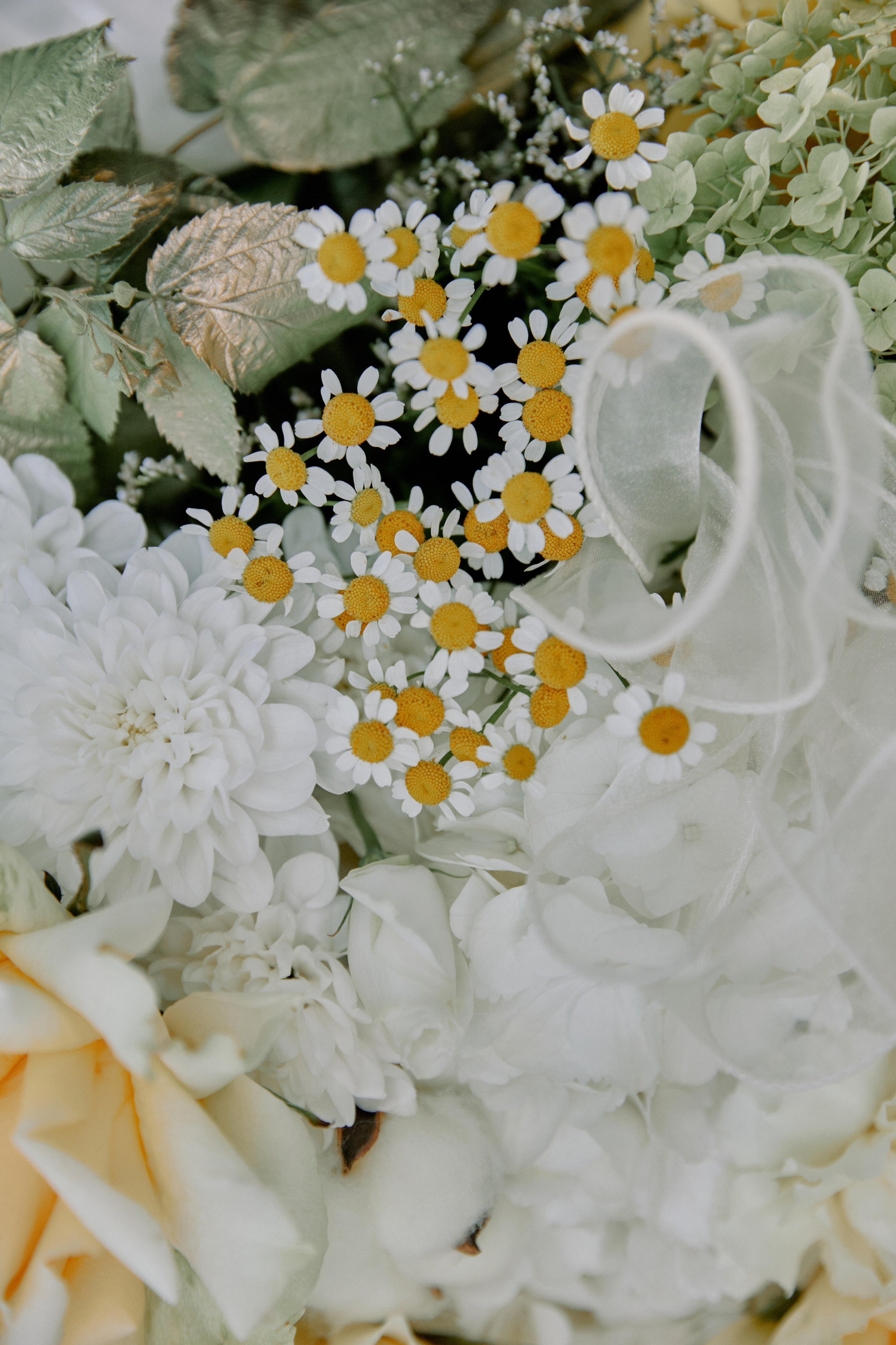 Мамма Мia!. Фотограф Елена Краснопевцева