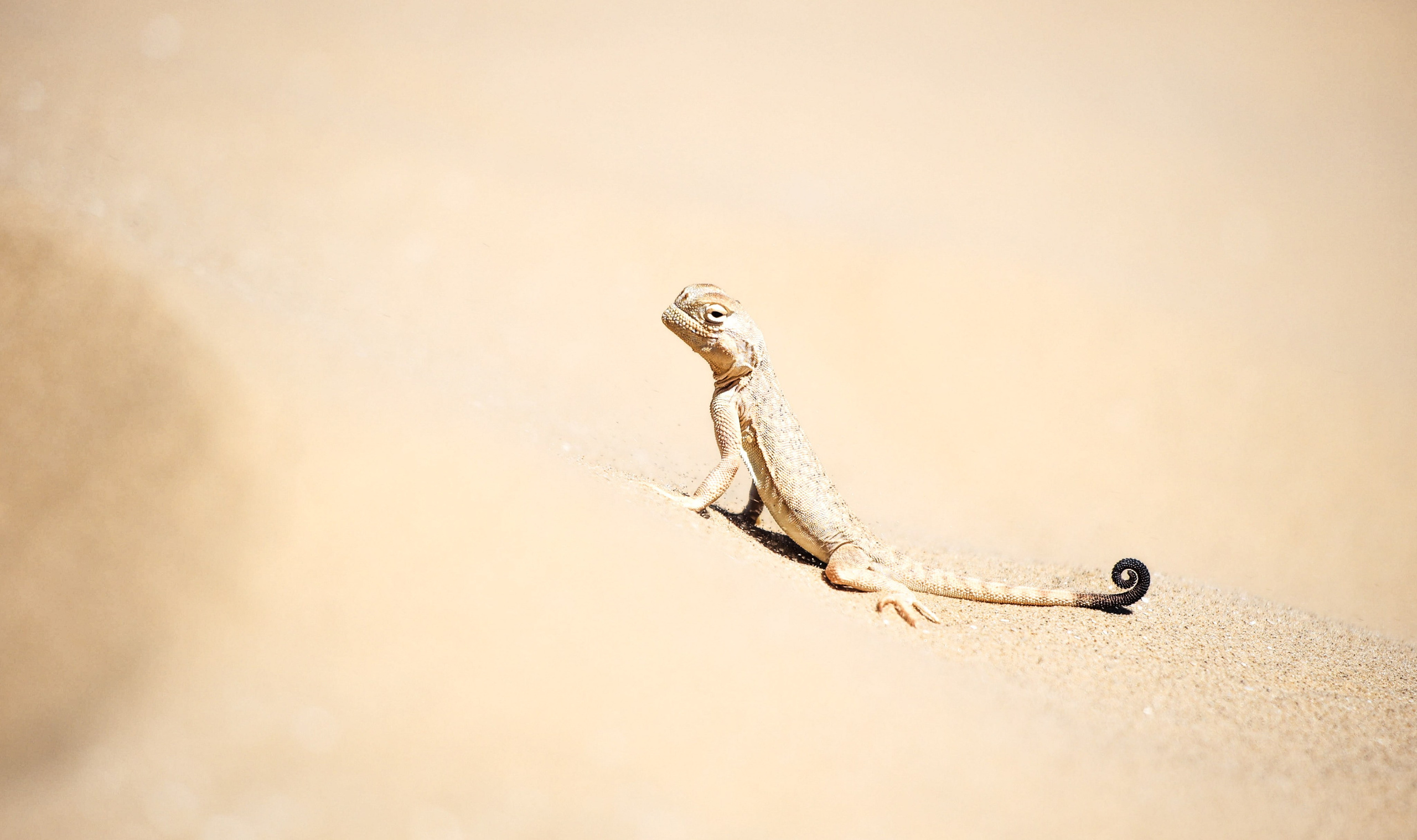 Природа. Глеб Захаренко — спортивный и репортажный фотограф в Крыму