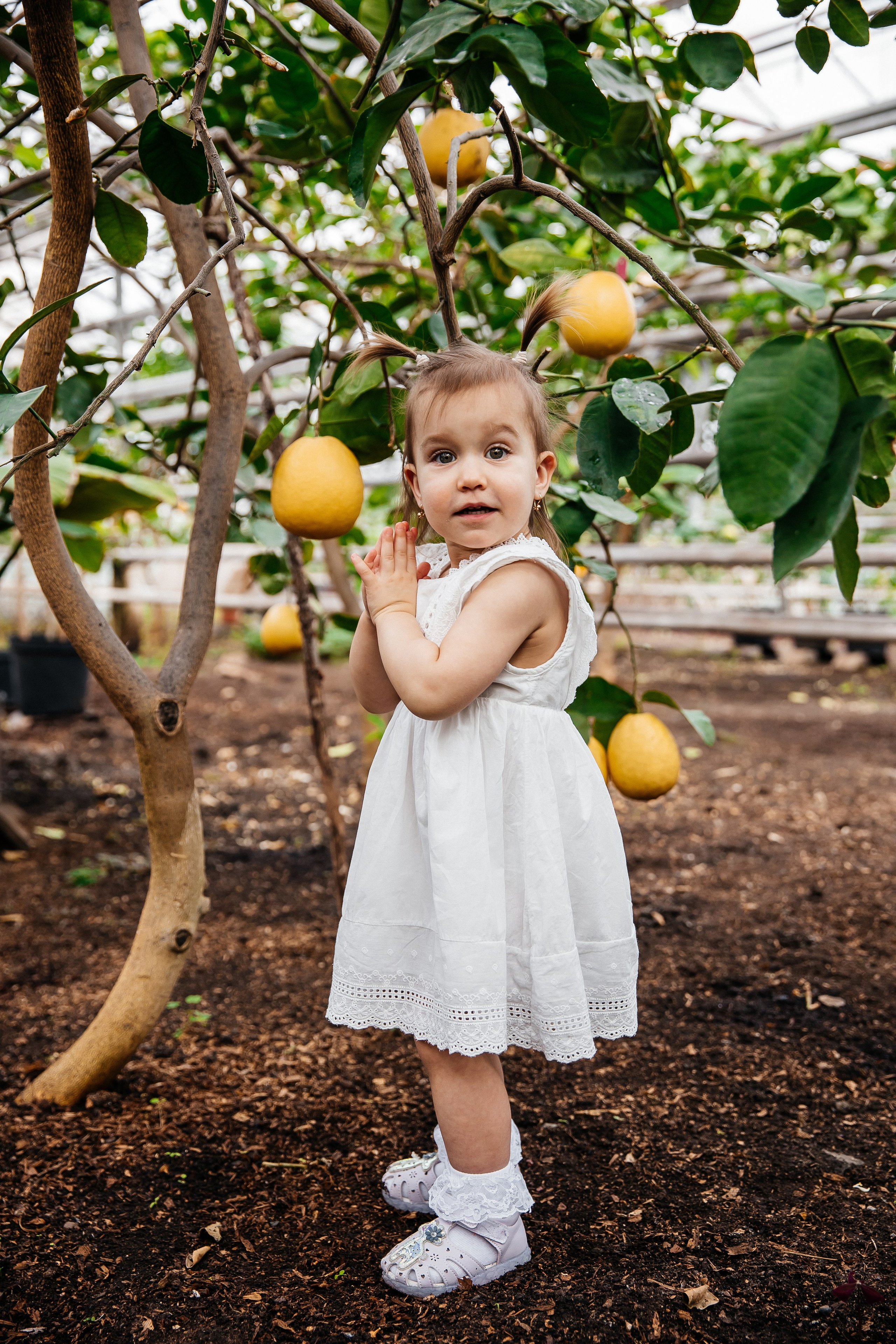 Лимонарий. Свадебный и семейный фотограф у Уфе Евгения Сазонова